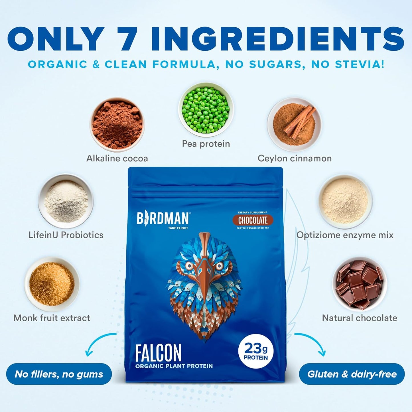 Falcon Vegan Protein Powder Organic, Stevia & Sugar Free, Plant Based Protein, Low Carb, Dairy Free, Keto, Non Whey Protein, Probiotic, Pea Protein | Chocolate Flavor - 60 Servings - 3.9lb