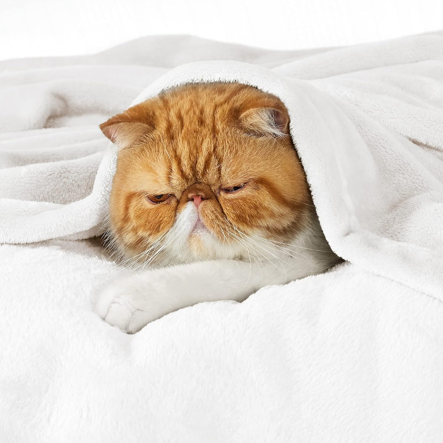 Bedsure Fleece Blankets King Size White - Bed Blanket Soft Lightweight Plush Cozy Fuzzy Luxury Microfiber, 108x90 inches