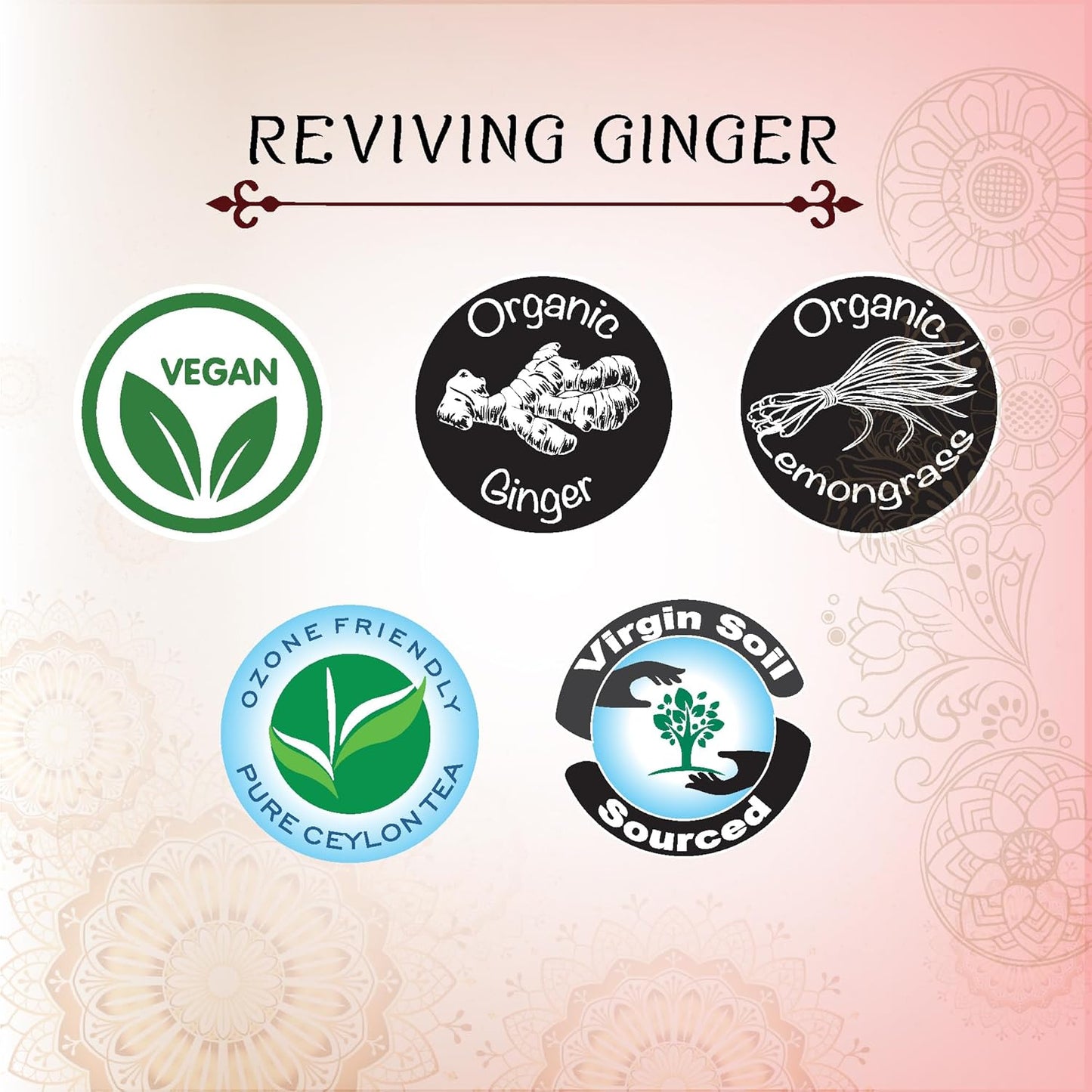 Térapy Ceylon GINGER & HONEY Tea | Organic Herbal Tea Bags | 100% Natural Ayurvedic Ingredients Including Organic Ginger, Wild Bee’s Honey, Ashwagandha & Lemongrass | 20 Individually Wrapped Tea Bags