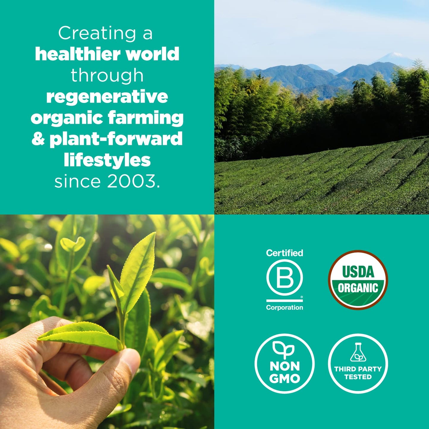 Navitas Organics Matcha Powder – For Tea, Lattes, Smoothies, Desserts & More – Energy & Antioxidants – Premium Culinary Grade – USDA Organic, Non GMO, Gluten Free, Kosher, Vegan (3oz. Bag 85 Servings)