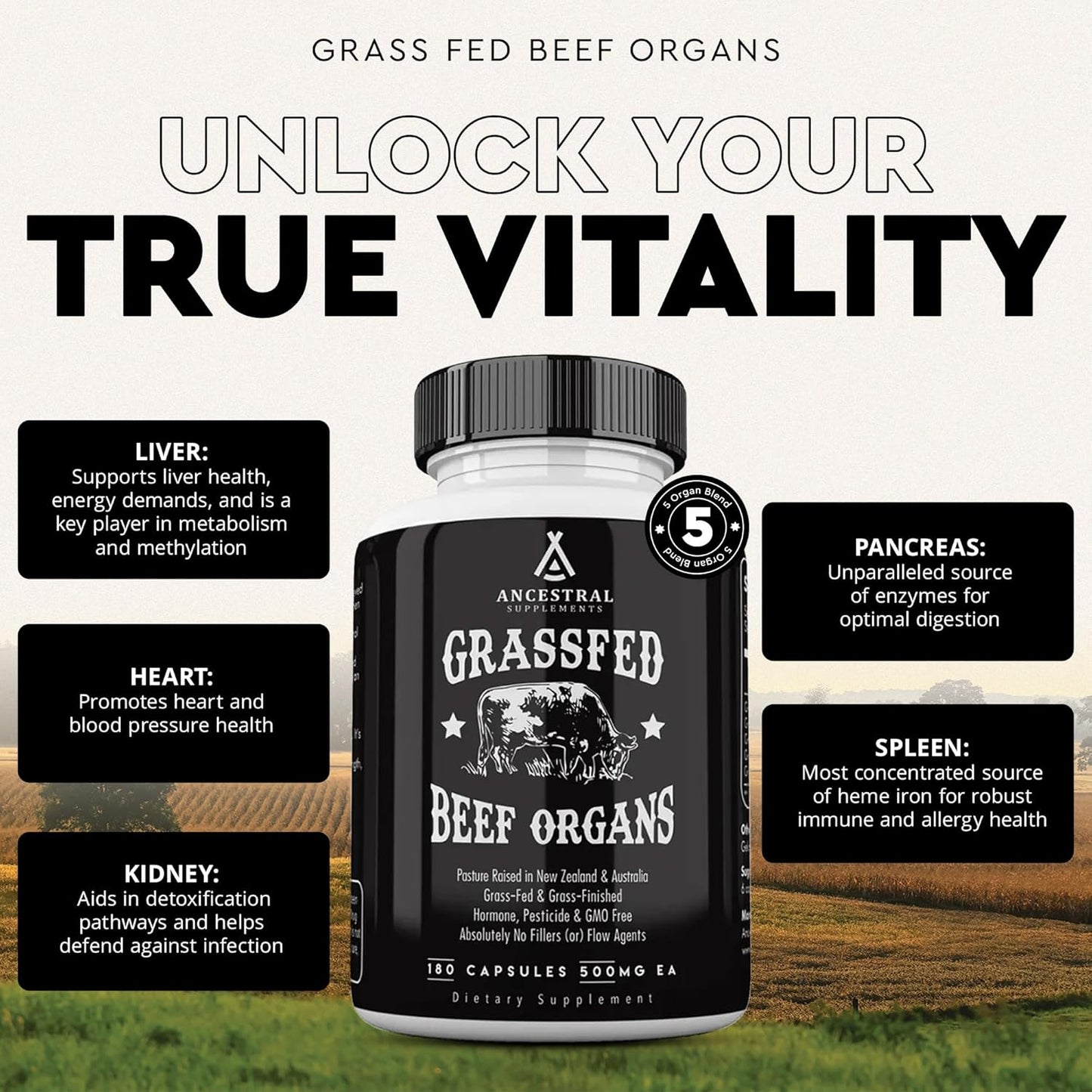 Ancestral Supplements Grass Fed Beef Organ Supplement, Supports Whole Body Wellness with Proprietary Blend of Liver, Heart, Kidney, Pancreas, Spleen, Freeze-Dried Beef, Non-GMO, 180 Capsules