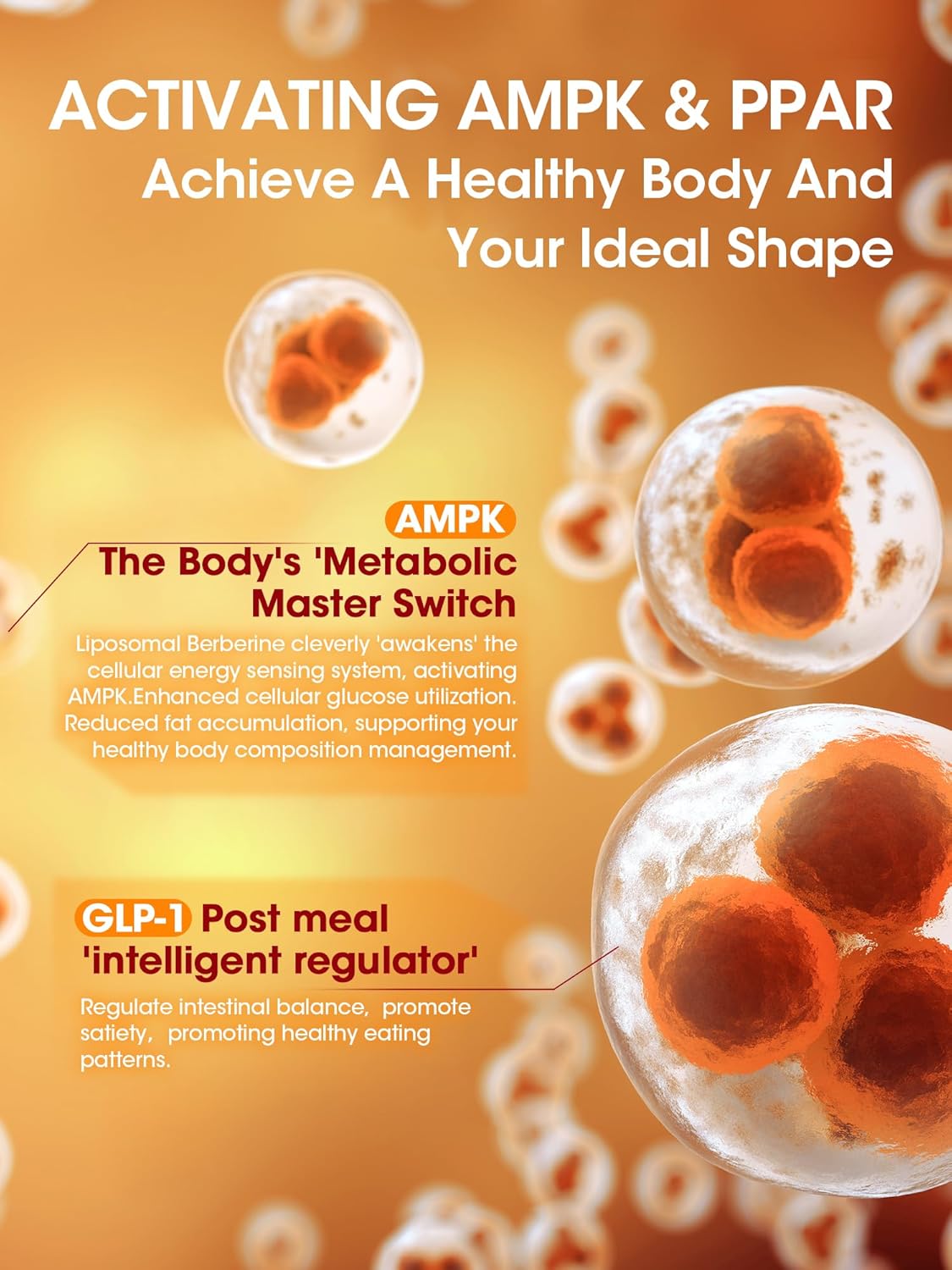 Liposomal Berberine HCL1300mg - Berberine Supplement with Ceylon Cinnamon Activates GLP-1 & AMPK - High Absorption Formula Healthy Weight Support – Non-GMO/Vegan – 60-Day