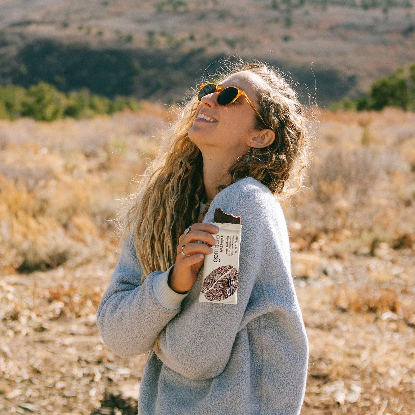 GoMacro MacroBar Organic Vegan Protein Bars - Mocha Chocolate Chip (2.3 Ounce Bars, 12 Count)