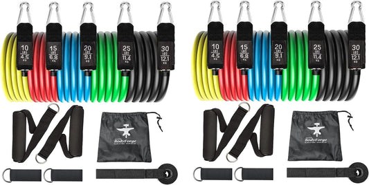 BodyForge Resistance Bands, Exercise Bands, Resistance Bands for Working Out, Work Out Bands with Handles for Men and Women Fitness, Strength Training Home Gym Equipment