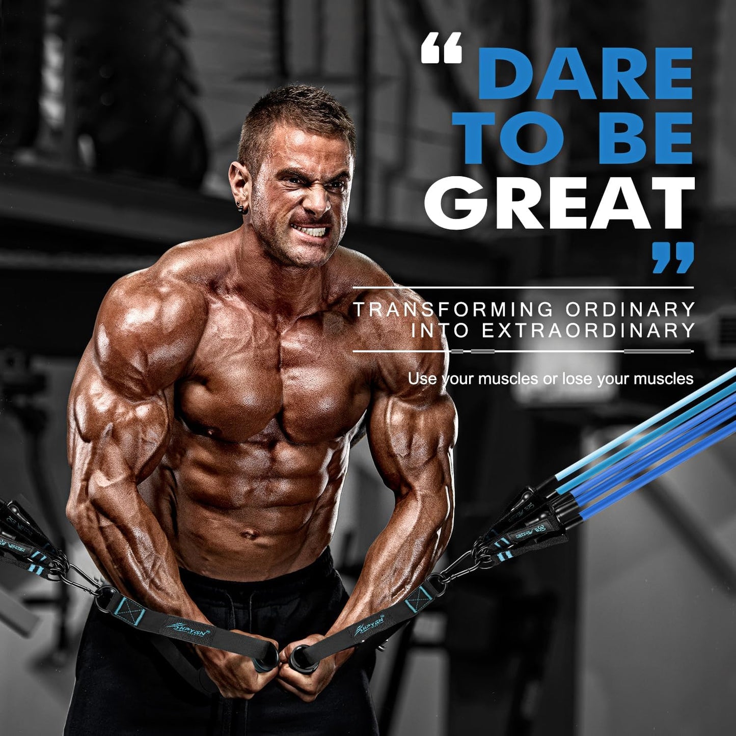 HPYGN Resistance Bands, Exercise Bands with Handles, Fitness Bands, Workout Bands with Door Anchor and Ankle Straps, for Heavy Resistance Training, Physical Therapy, Shape Body, Yoga, Home Workout Set