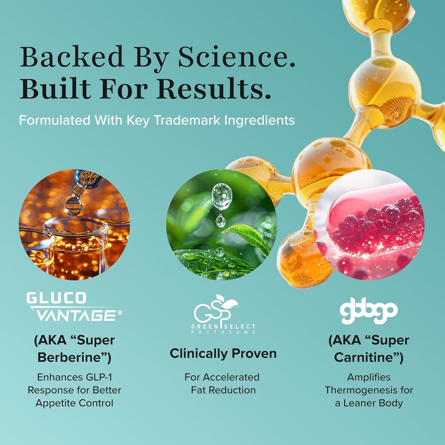 Nutrex Research BURN30 GLP1+ Super Berberine Chromium Picolinate Weight Management Support | Advanced Appetite Control & Metabolism Support with Clinically Studied Ingredients  | Stimulant Free