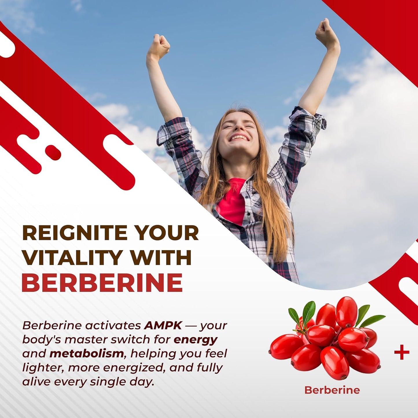 Berberine 14-in-1 Supplement with Ceylon Cinnamon Apple Cider Vinegar Turmeric Bitter Melon Holy Basil Milk Thistle Fenugreek Gymnema Banaba - Made in The USA