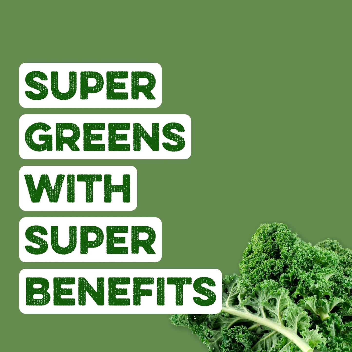 Clean Simple Eats Super Greens Powder, Naturally Flavored Greens Powder with Chlorella, Spirulina, Superfoods & Prebiotic Fiber, No Artificial Ingredients, Gluten Free, Classic Greens Flavor, 30 Srvgs