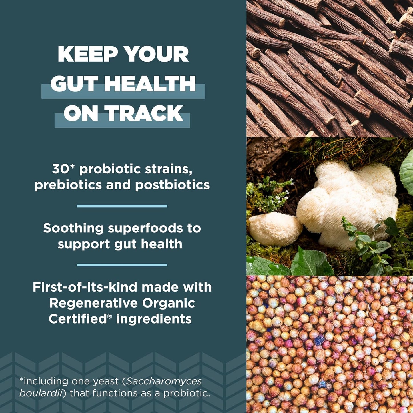 Ancient Nutrition Regenerative Organic Certified Probiotics for Gut Recovery, Probiotics Gut Recovery, for Healthy Digestion and Immune System Function Support, 50 Billion CFUs* Per Serving, 60 Count