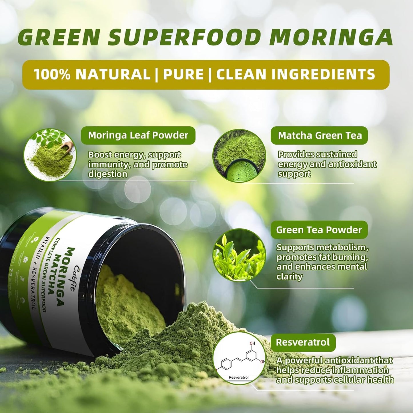 Matcha Moringa Powder – Superfood Blend with Green Tea & Resveratrol, Energy & Focus Support, Immune & Antioxidant Defense, Vegan, Gluten-Free, 8oz