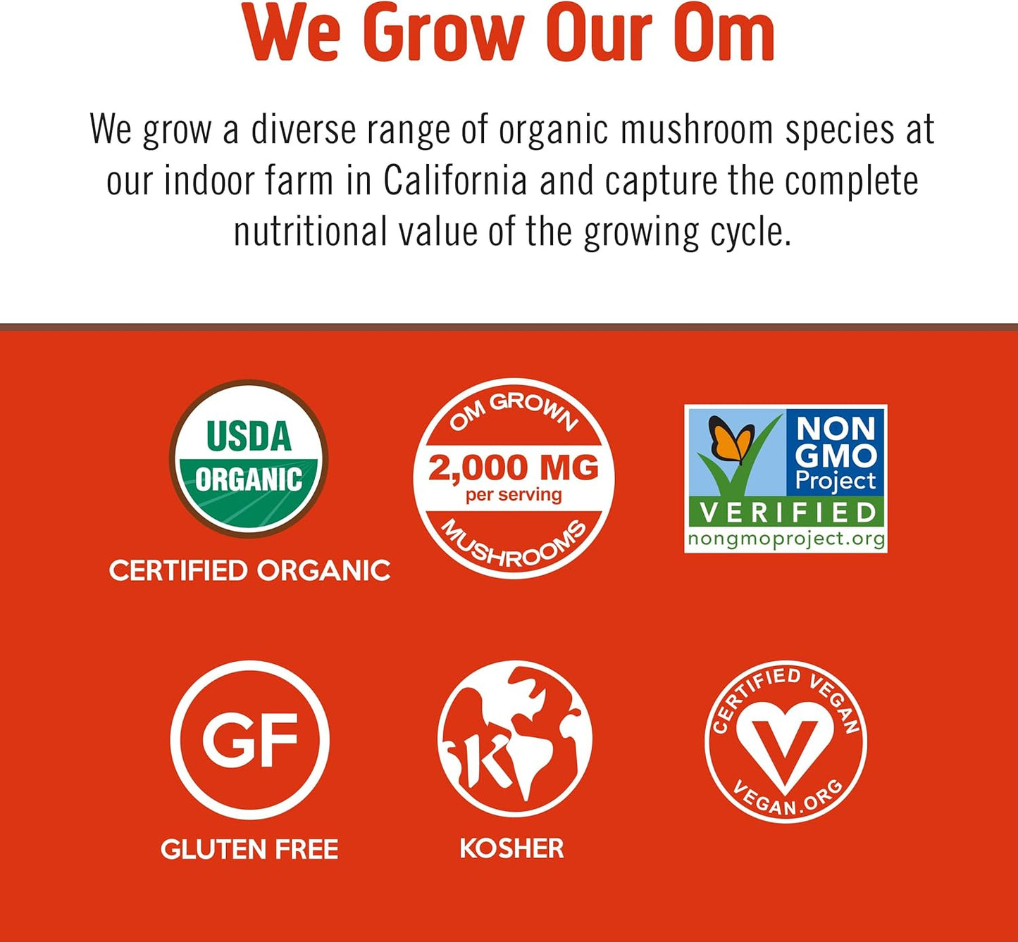 Om Mushroom Superfood Morning Energy Blend Mushroom Powder Drink, Single Serve, 10 Count, Coffee Free Energy Drink with Cordyceps, Vitamin D2, Agaricus Bisporus, Lion's Mane, Rhodiola, and Turkey Tail