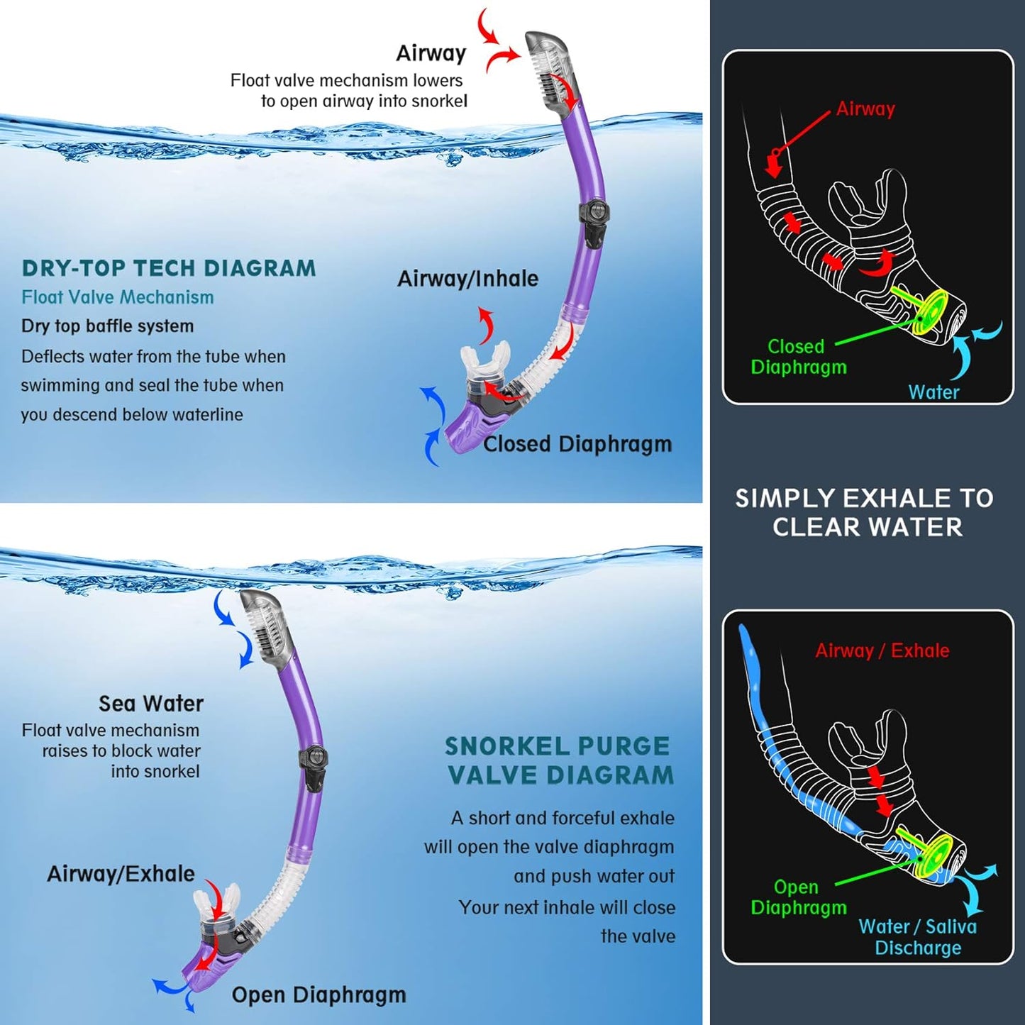 ZEEPORTE Mask Fin Snorkel Set, Travel Size Snorkeling Gear for Adults with Panoramic View Anti-Fog Mask, Trek Fins, Dry Top Snorkel and Gear Bag for Swimming Training, Snorkeling Kit Diving Packages