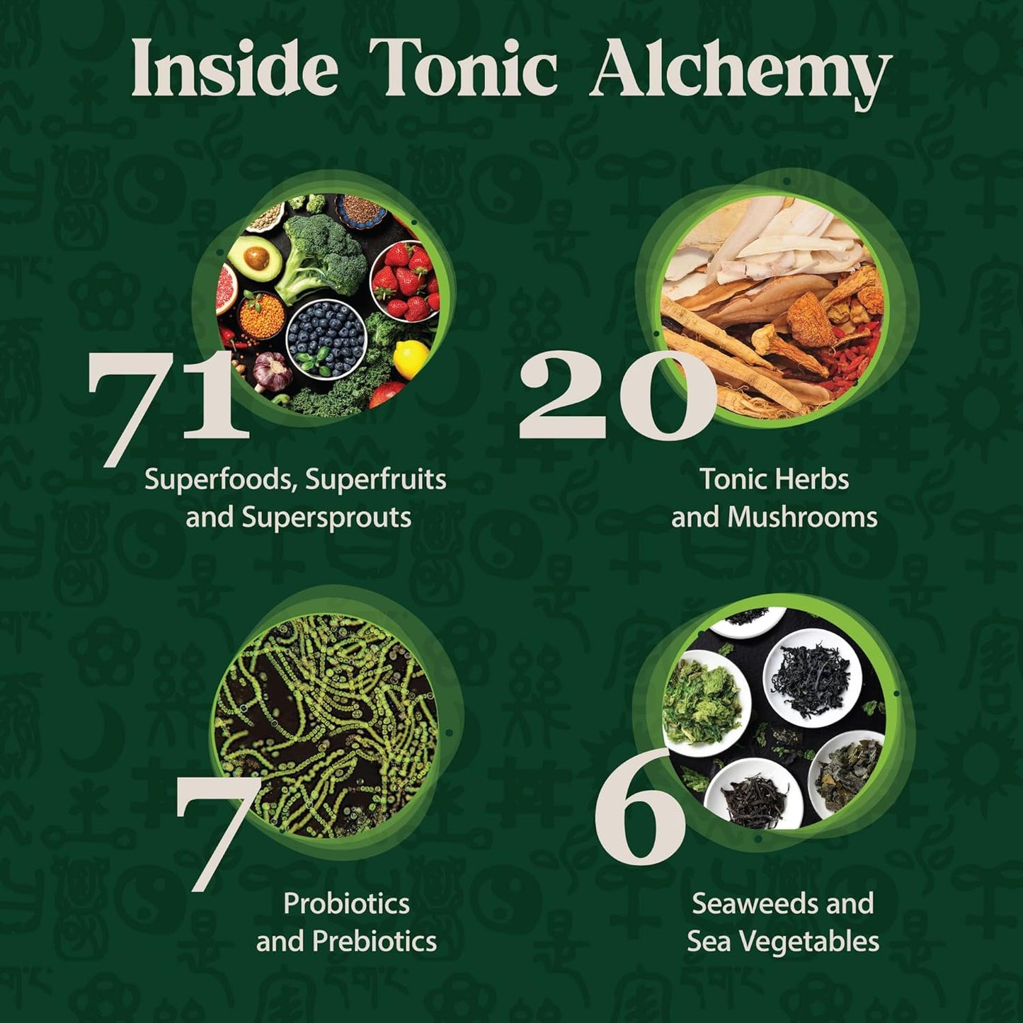 Dragon Herbs Tonic Alchemy Superfood Greens Powder with 91 Ingredients: Tonic Herbs, Ashwagandha, Mushrooms, Probiotics, Super Greens, Seaweeds, Fruits, Vegetables, Spirulina - 30 Servings