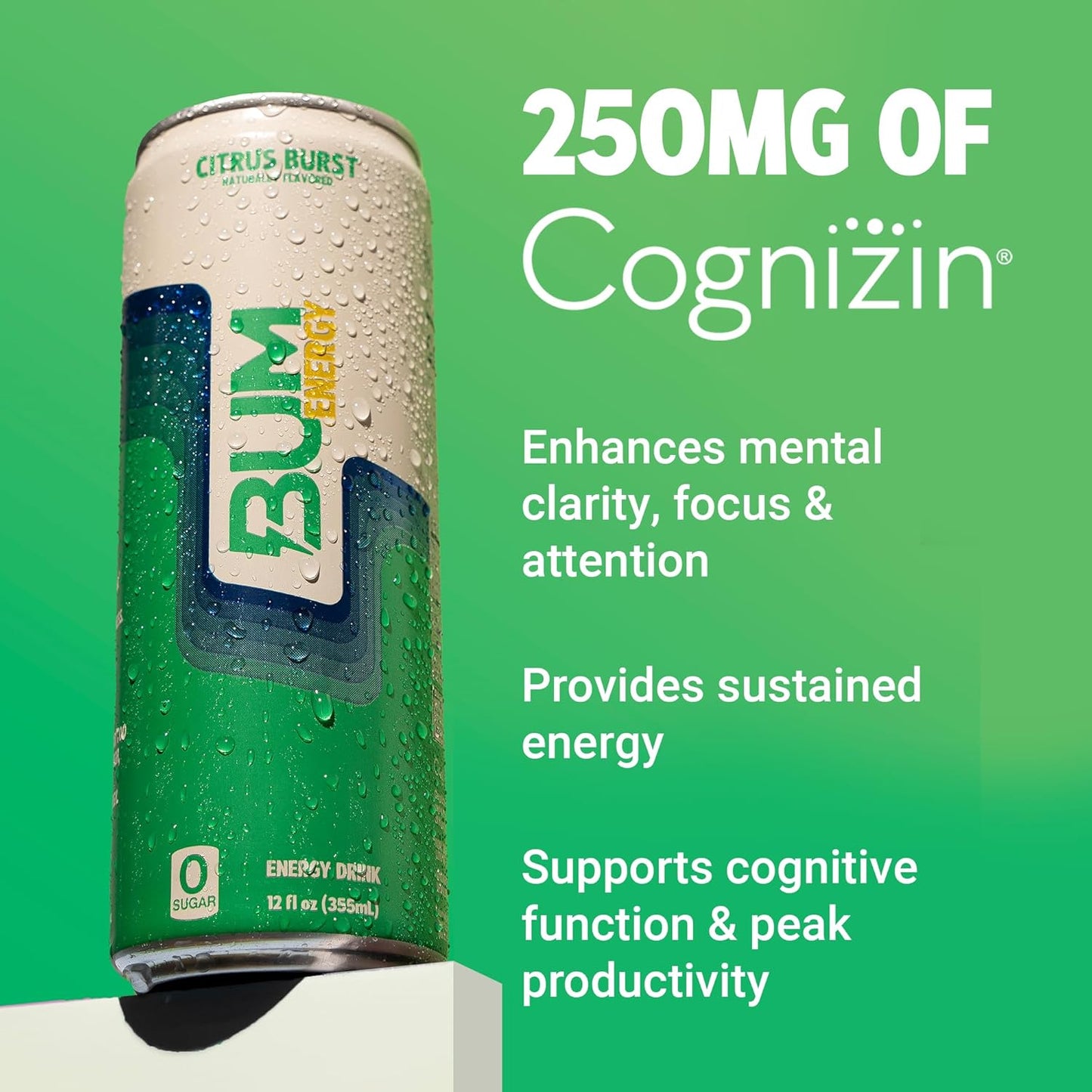 BUM Sugar-Free Energy Drink, Citrus Burst - Lightly Carbonated & No Artificial Colors, Natural Caffeine & Citicoline for Energy & Focus, Brain Boost & Workout Sports Beverage - 12 oz, Pack of 12