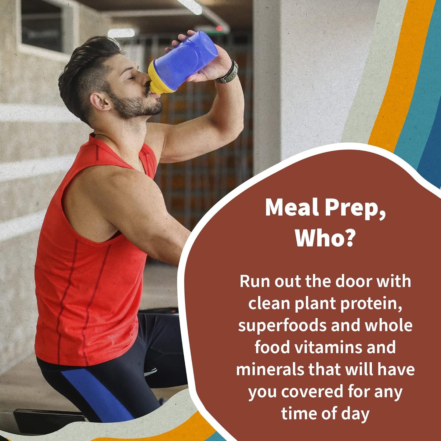 Garden of Life Meal Replacement Shakes, Raw Organic, Vanilla Chai Protein Powder with Plant Based Pea Protein, Sprouts, Greens, Probiotics, Dairy Free 28 Servings