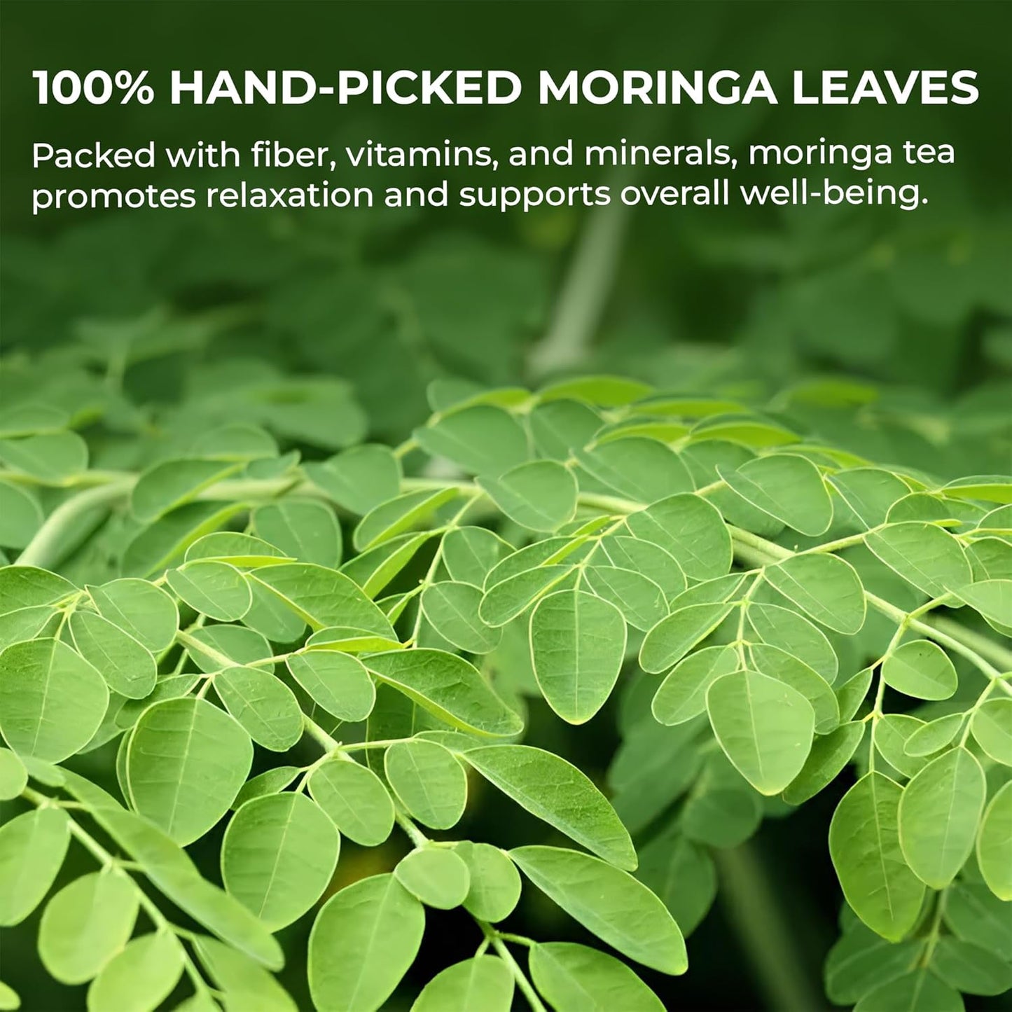 Moringa Leaf Powder - 10.58 oz, 100% Pure & Natural, For Tea, Drinks, Cooking & Skincare, Supports Digestion, Immune, Sleep & Relaxation, Finely Ground, No Sugar, No Caffeine