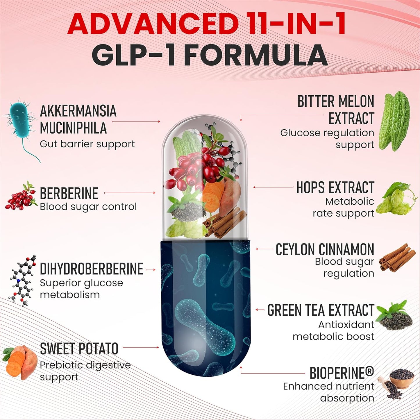 Zenrenu GLP-1 Supplement for Women-Natural Appetite,Craving & Loss Support – Akkermansia Probiotic, Super Berberine & Cinnamon,11-in-1 Gut & Metabolism Support - GLP1 Activate -60 Vegan Caps