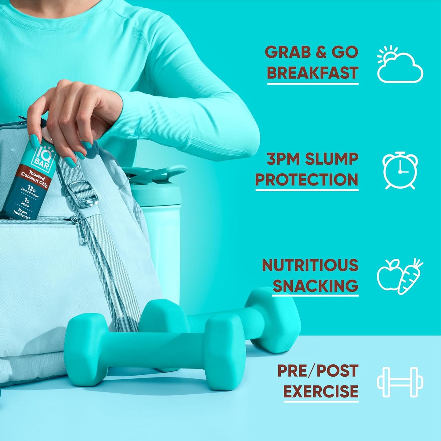 IQBAR Brain and Body Plant Protein Bars - Toasted Coconut Chip - 12-Count Low Carb - Gluten Free, High Fiber, Vegan Snacks - Low Sugar Meal Replacement