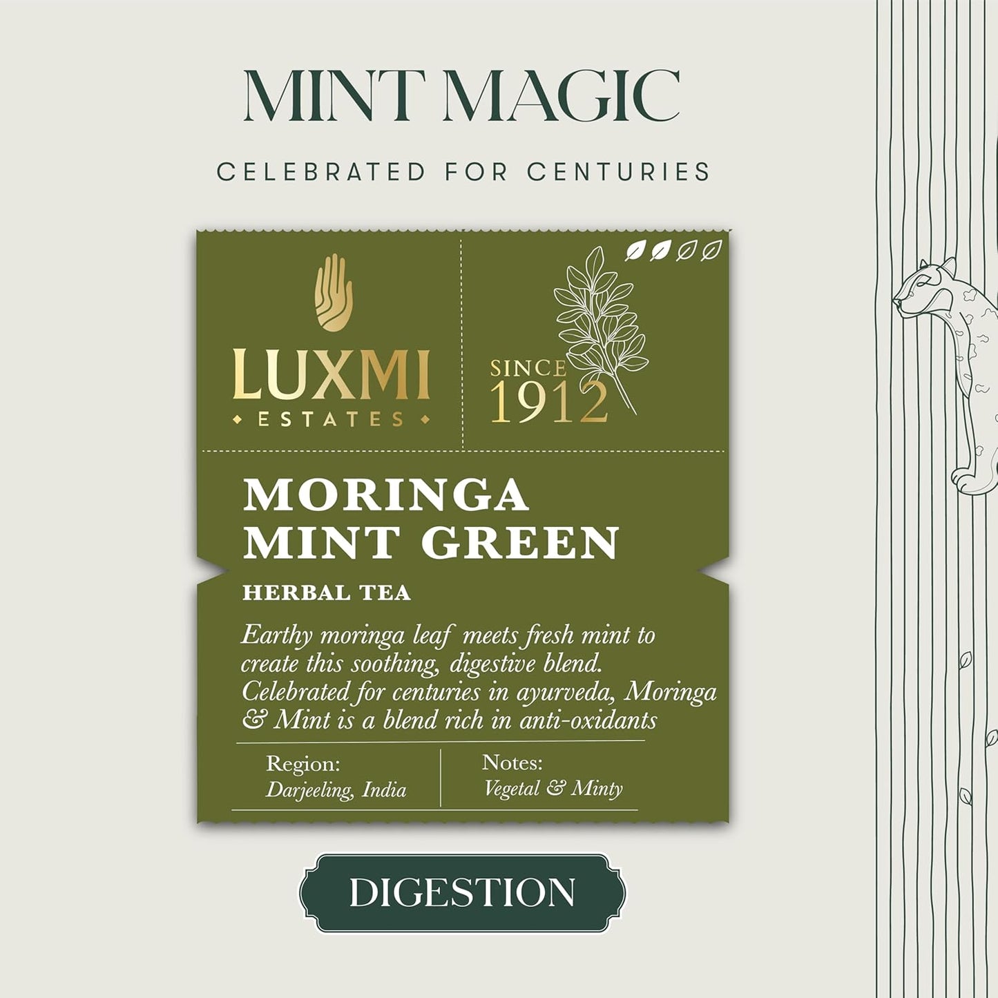 Luxmi Estates Moringa Mint Organic Moringa Mint Green Tea (50 Tea Bags) Caffeine Free Tea Bags For Digestion, Detox, and Stress Relief, With Certified Organic Herbal Tea