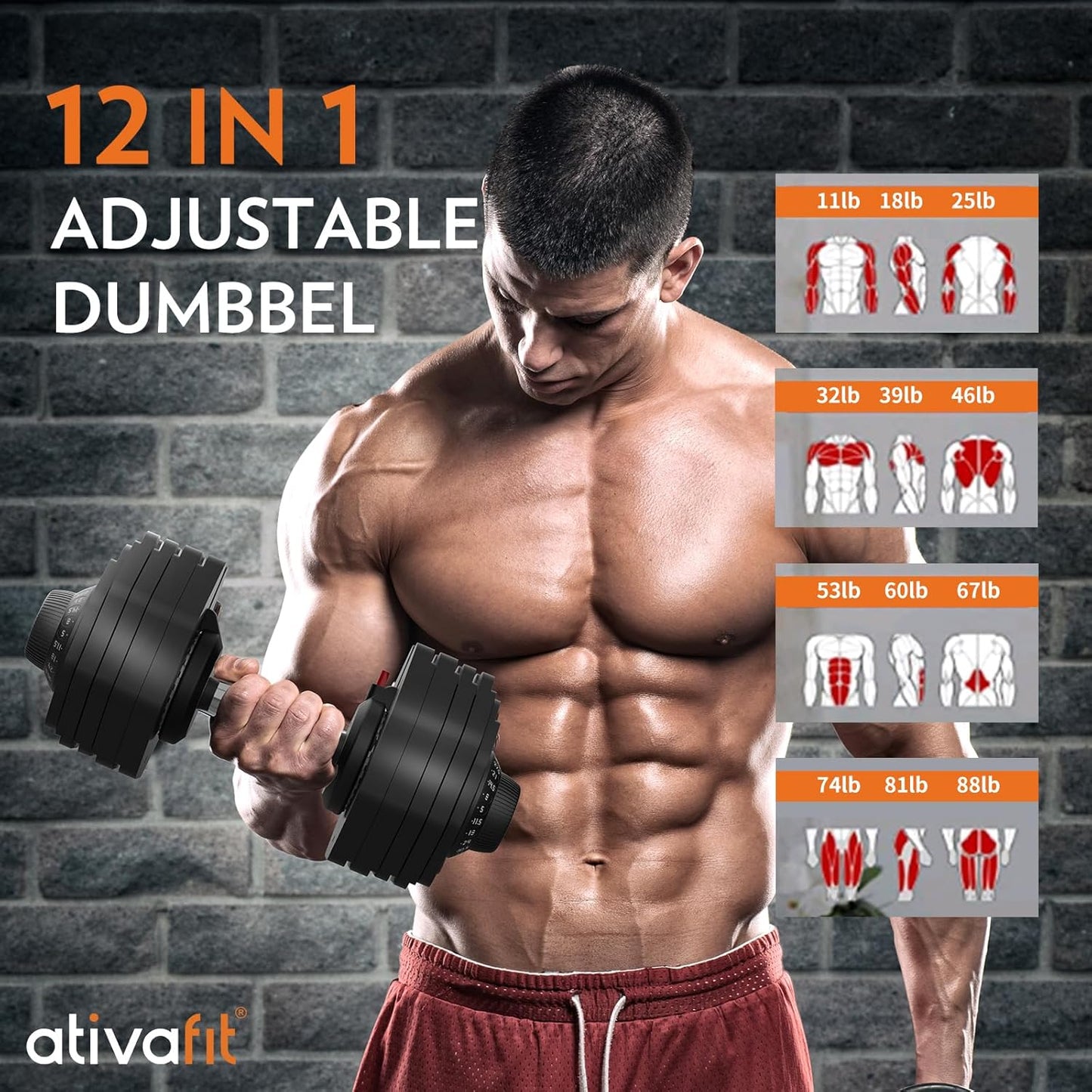 Ativafit 27.5/66/88LBS Pair Adjustable Dumbbell Set with Anti-slip Handle 12 In 1 Quick Dial Adjustment Weights With Safety Locking Button Space Saving Strength Training for Full Body Home Gym Workout