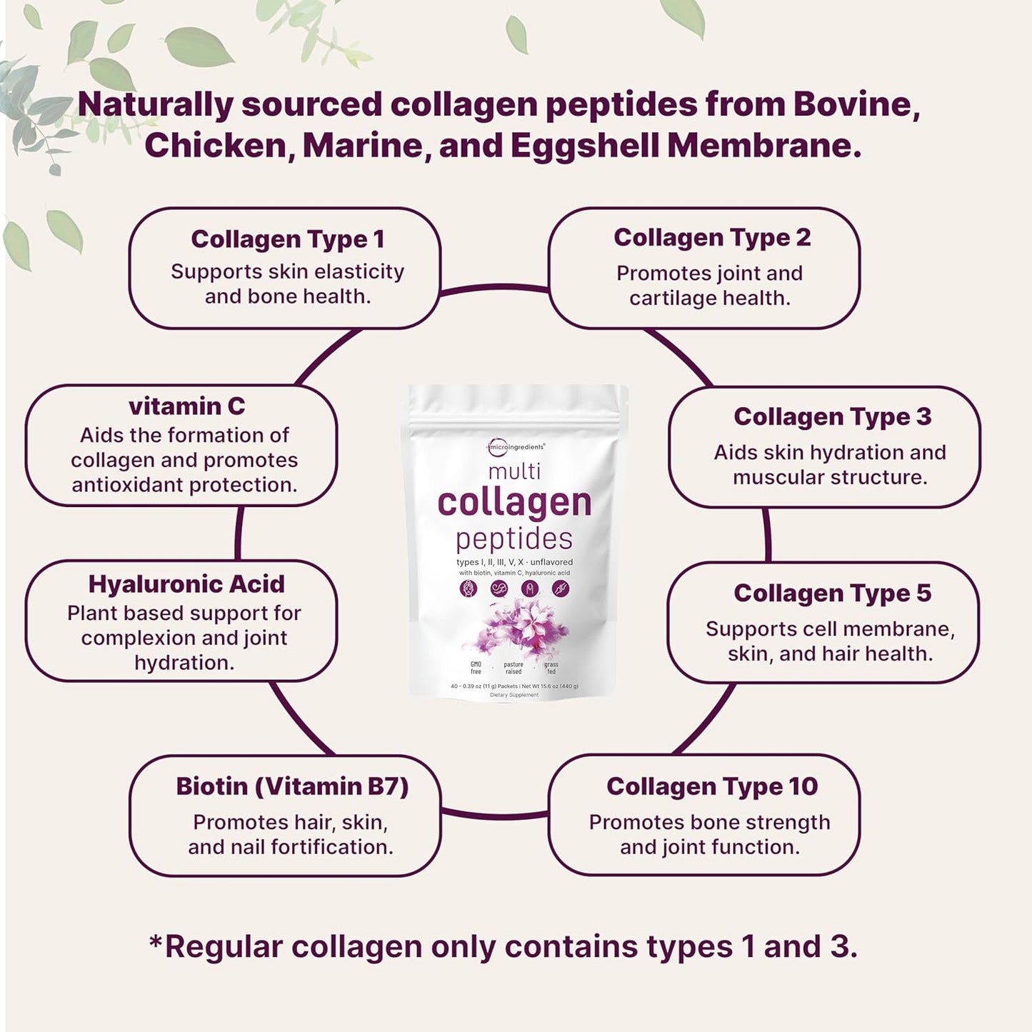 Micro Ingredients Multi Collagen Peptides Powder, 40 Stick Packs | Type I, II, III, V, X + Biotin, Vitamin C & Hyaluronic Acid | Unflavored | Supports Hair, Skin & Joint Health | Keto, Non-GMO