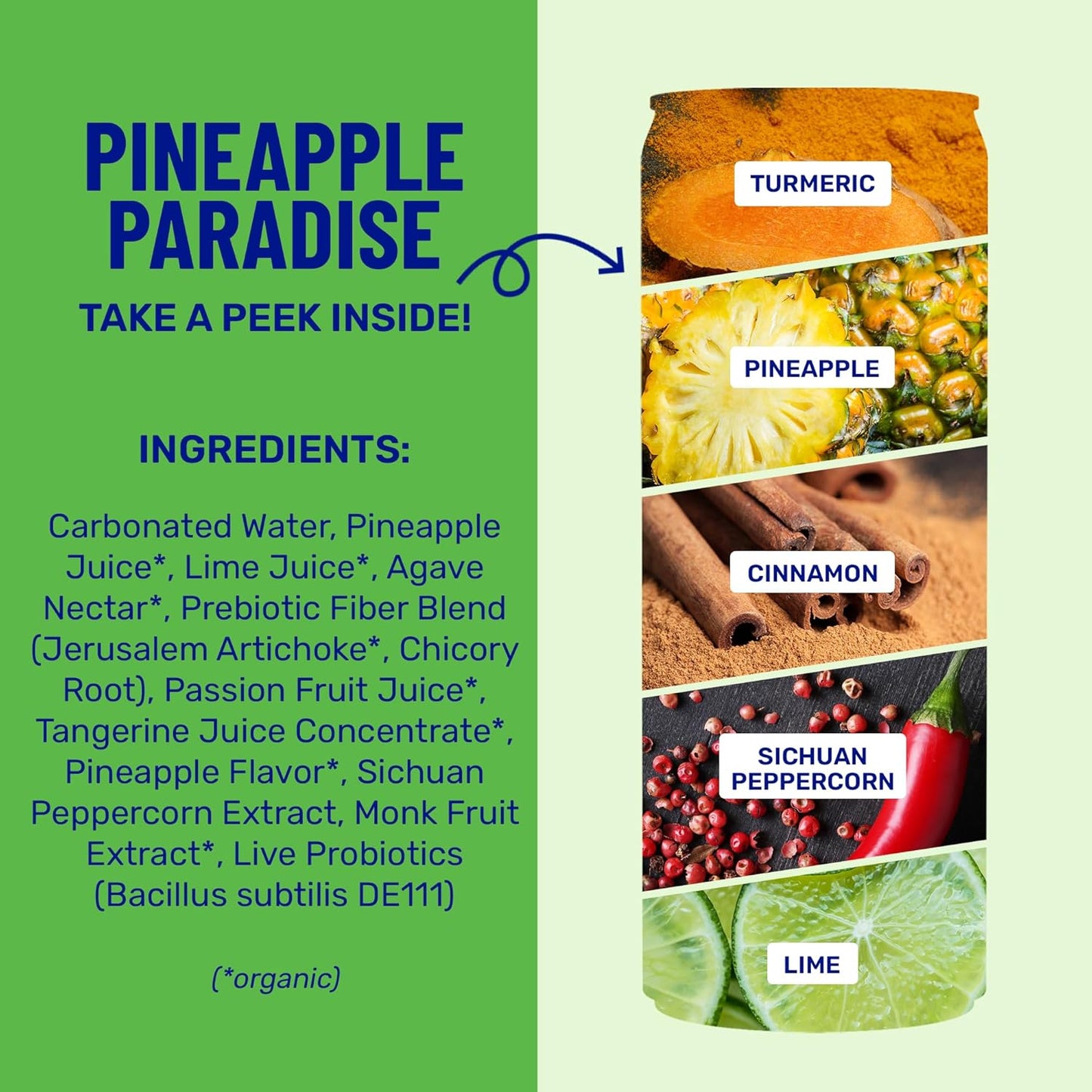 wildwonder Sparkling Probiotic Drink 12pk, For Gut Health & Immune Support, Pineapple Paradise, 5g Prebiotic Fiber, Live Probiotics, Organic, Vegan, Low Sugar, 12 Pack, 12oz Can, As Seen on Shark Tank