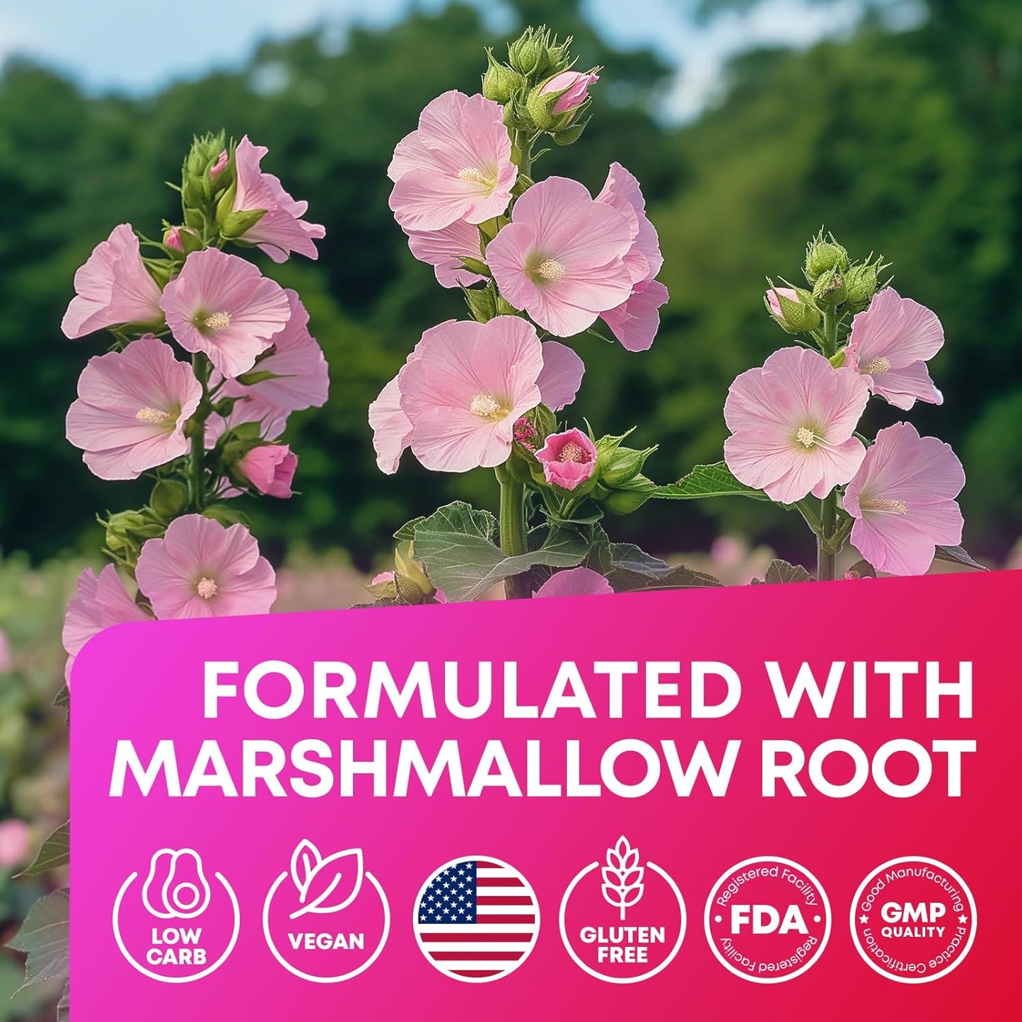 JOYLI Nutrition (2 Pack Advanced Keto ACV Gummies - Sugar Free Apple Cider Vinegar - Keto Supplements + Marshmallow Root - Alternative to Apple Cider Vinegar Capsules - 120 Gummies