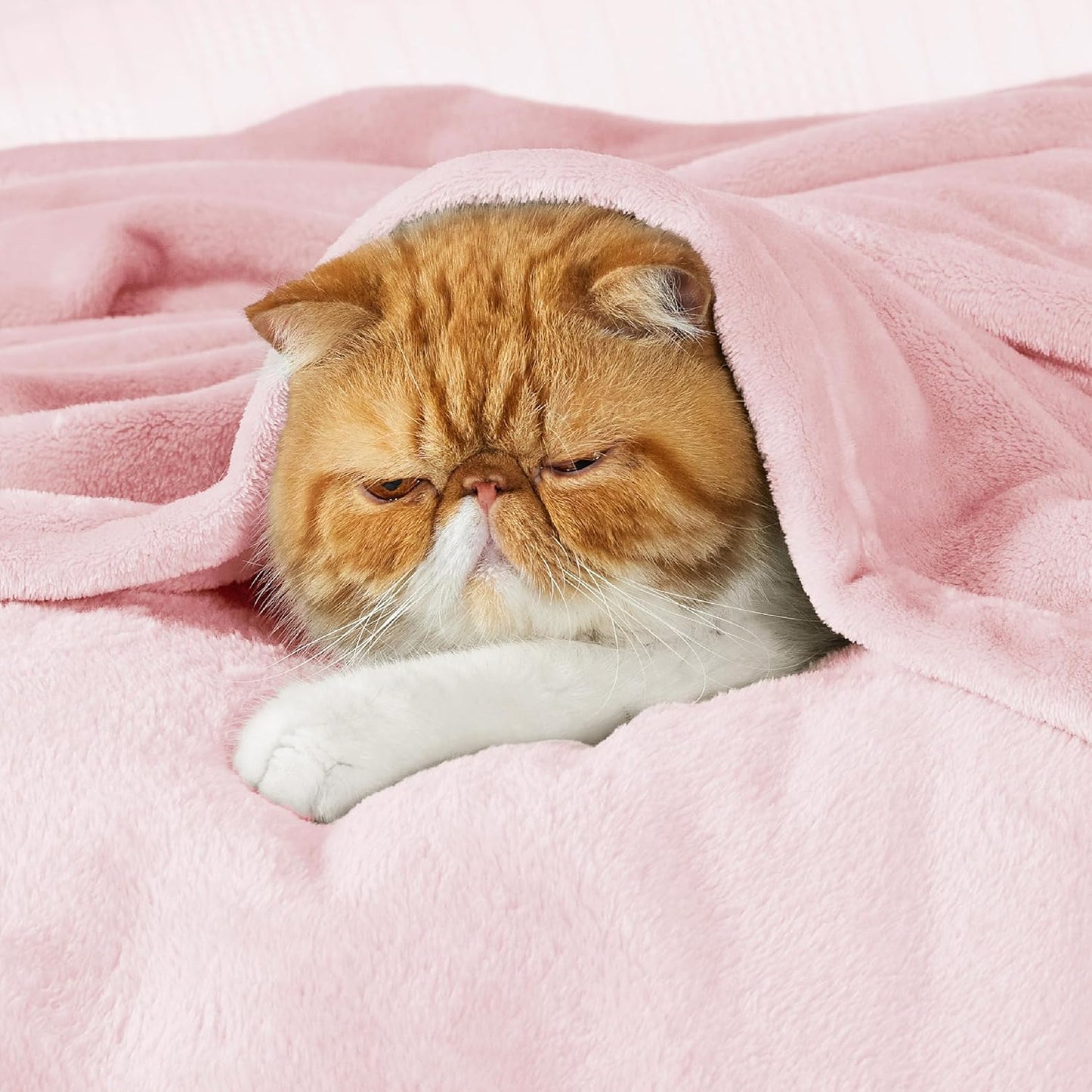 Bedsure Pink Fleece Throw Blanket for Couch - 300GSM Cozy Soft Blankets for Women, Cute Small Fleece Throws for Girls, Pink Home Decor Gifts, 50x60 Inches