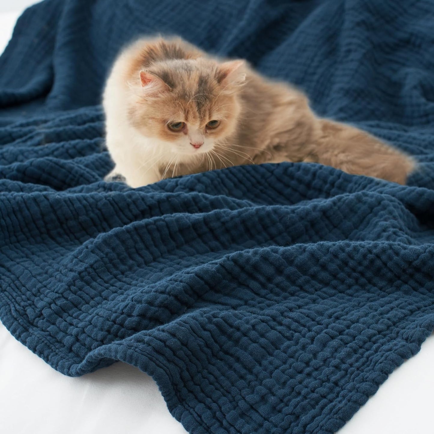 Carriediosa 100% Cotton Muslin Throw Blanket 66" X 90" Twin XL Size，4-Layers Summer Gauze Throws for Bed Couch，Soft Lightweight Breathable Linen Blankets Bedspread for Adults All Season，Navy Blue