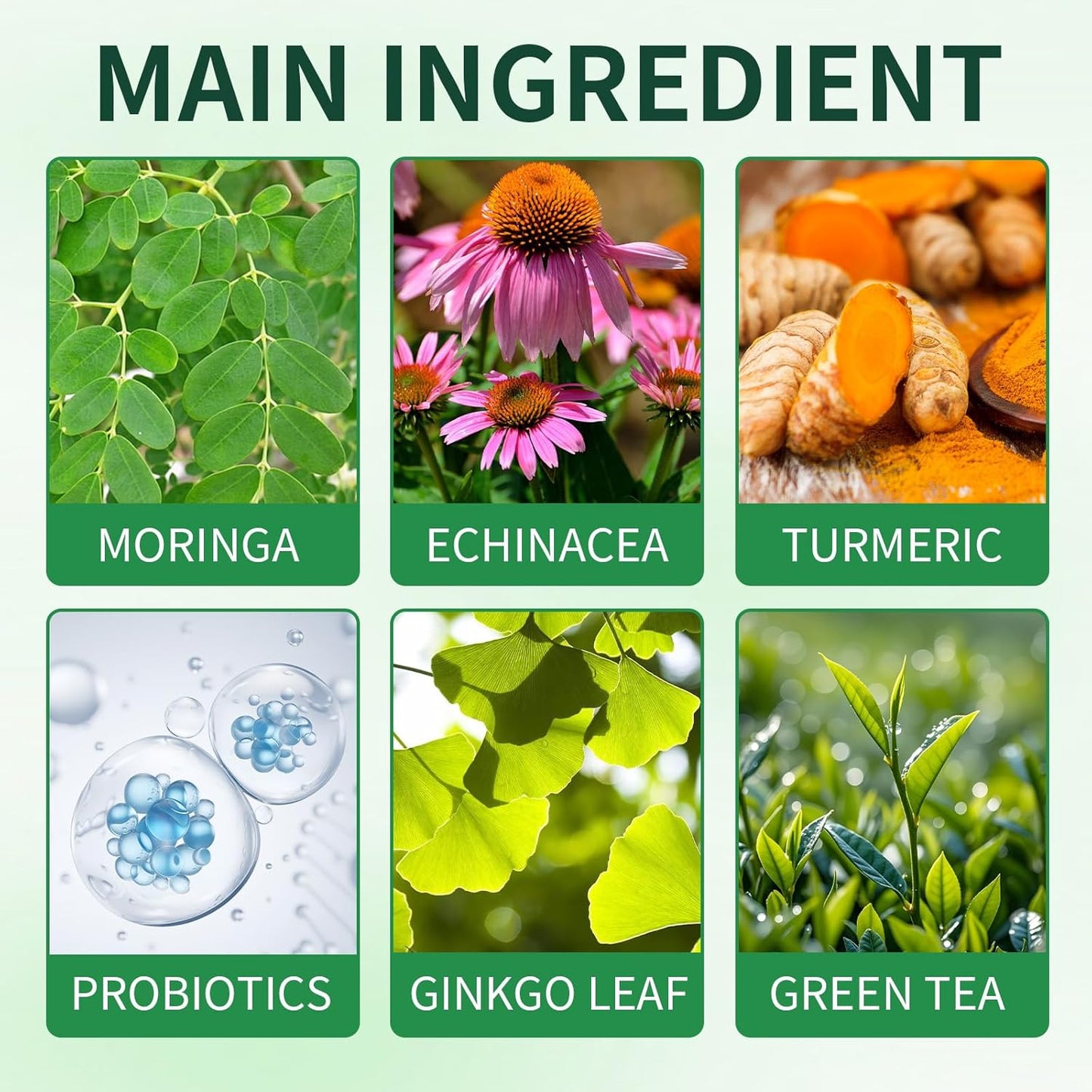 New GLP-1 Supplement Oral Solution, Advanced Diet Drops for Women and Men - Fast and Easy to Use (10 Packs - 1 Box)