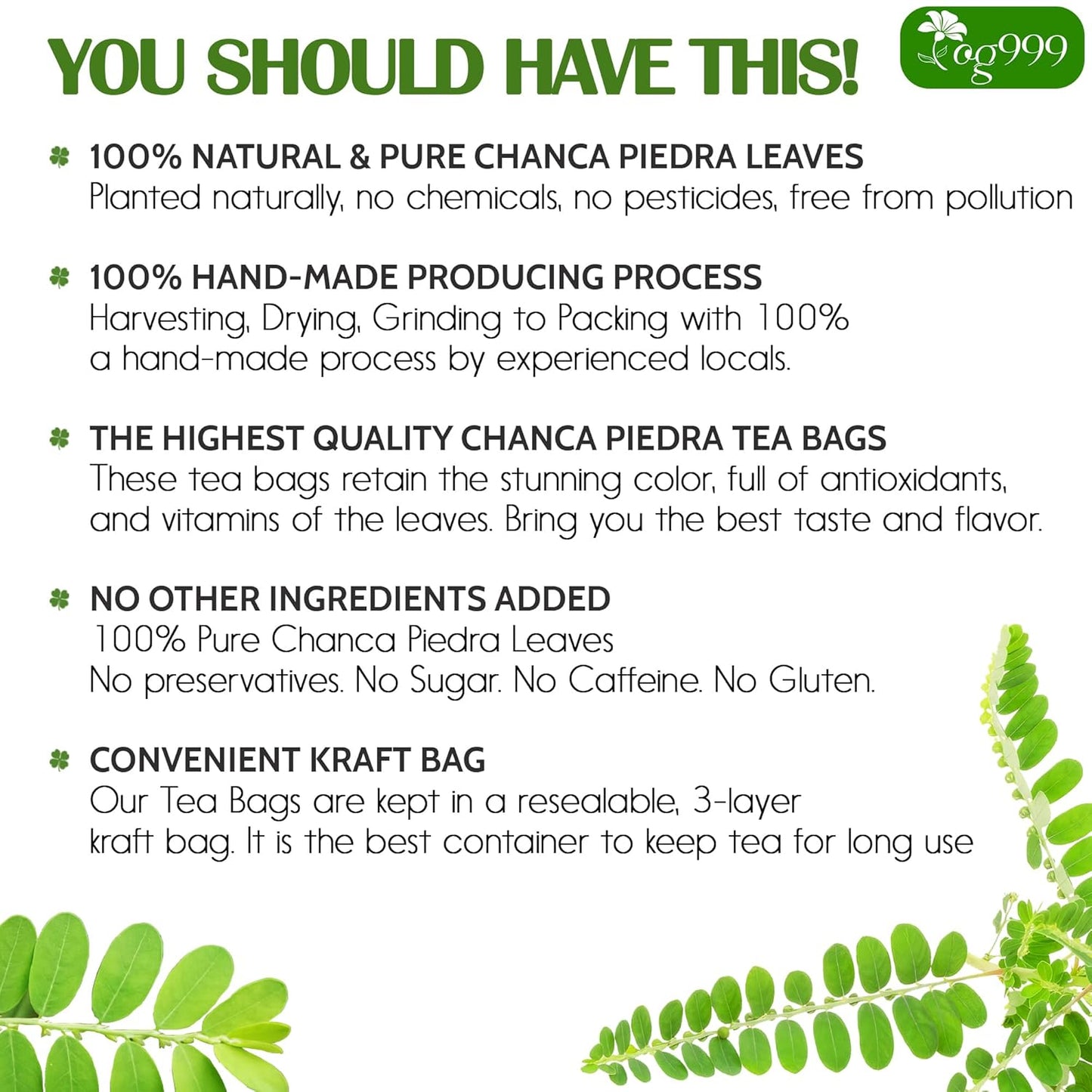 TOG999, 60 Tea bags Dried Chanca Piedra Leaves, Chanca Piedra Tea “Stone Breaker” 100% Natural & Pure. Made with Natural Material Tea Bags. No Sugar, No Caffeine, No Gluten, Vegan.