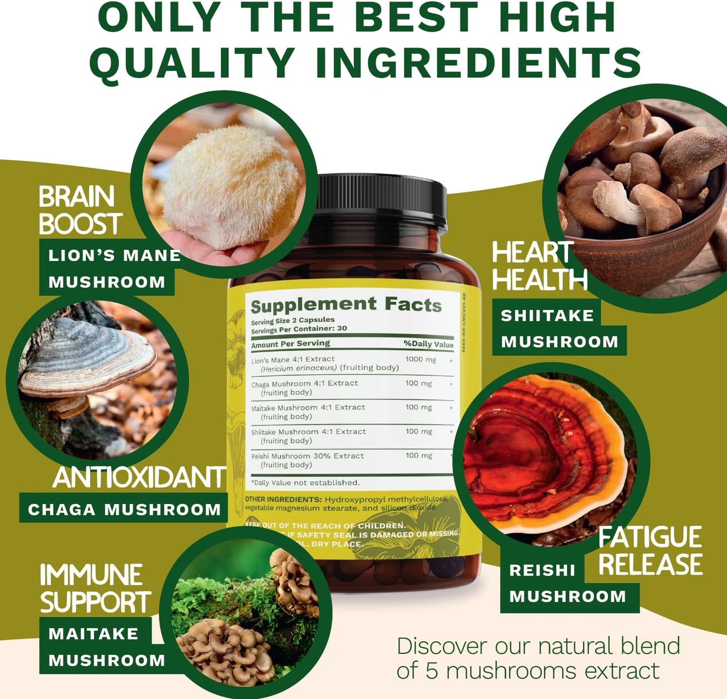 Lions Mane Mushroom Complex [100% Pure Extracts] Lion’s Mane, Reishi, Chaga, Maitake & Shiitake Powder for Nootropic Brain Support, Immune Health, Memory, Mood Boost and Focus