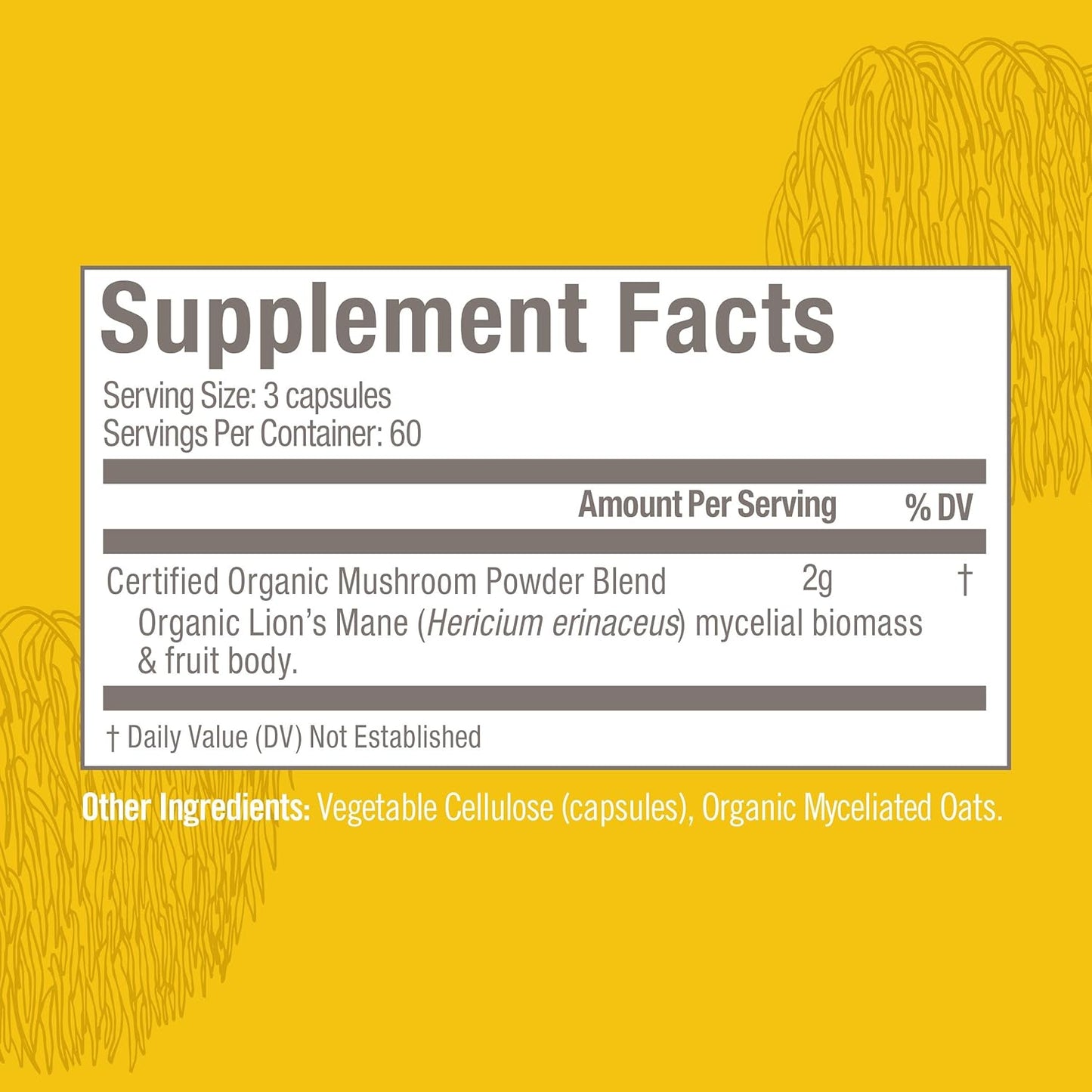 OM MUSHROOM SUPERFOOD Lion's Mane Mushroom Capsules Superfood Supplement, 180 Count, 60 Days, Fruit Body and Mycelium Nootropic for Memory Support, Focus, Clarity, Nerve Health, Creativity and Mood