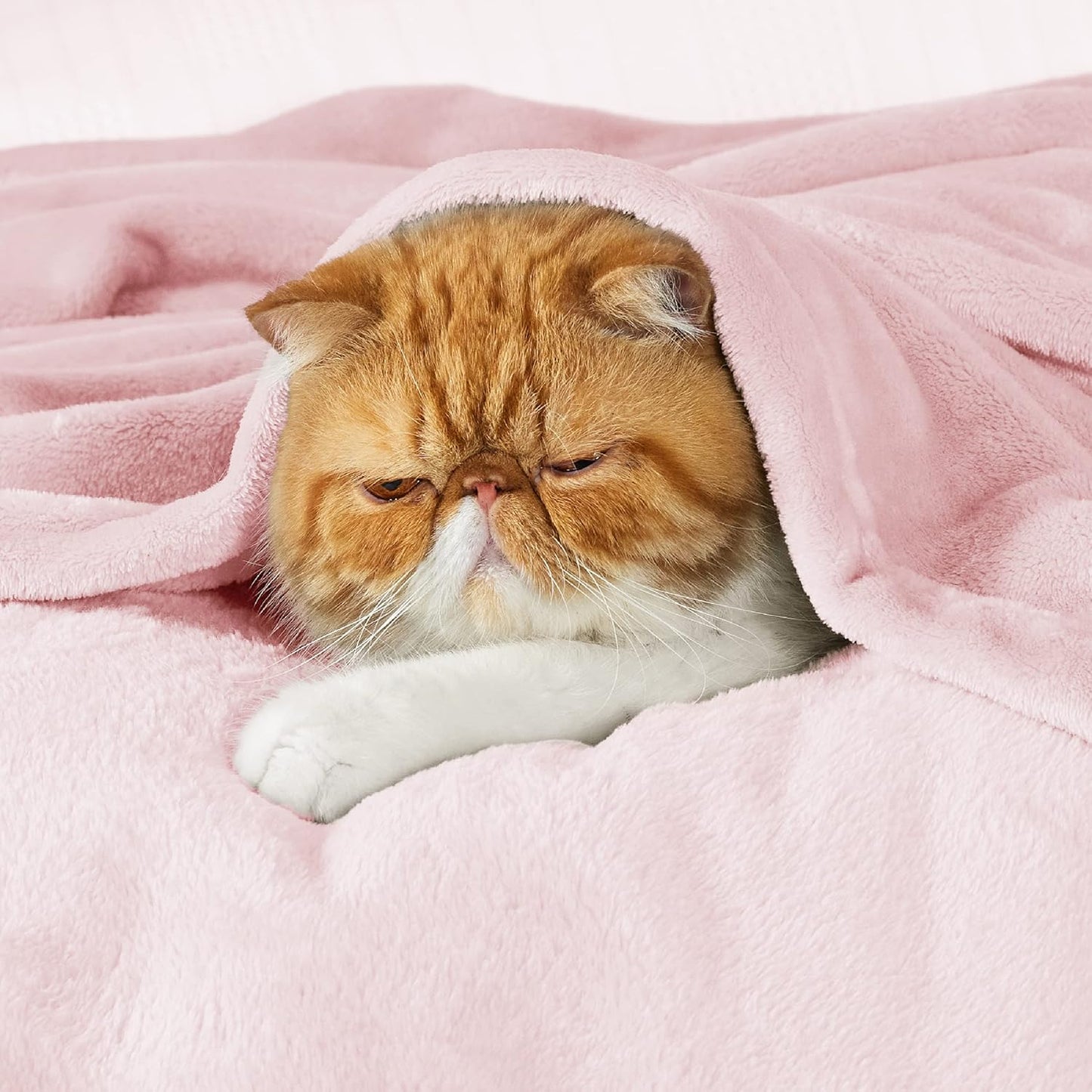 Bedsure Pink Fleece Blanket - 300GSM Soft Lightweight Plush Cozy Blankets for Bed, Sofa, Couch, Travel, Camping, 50x70 inches