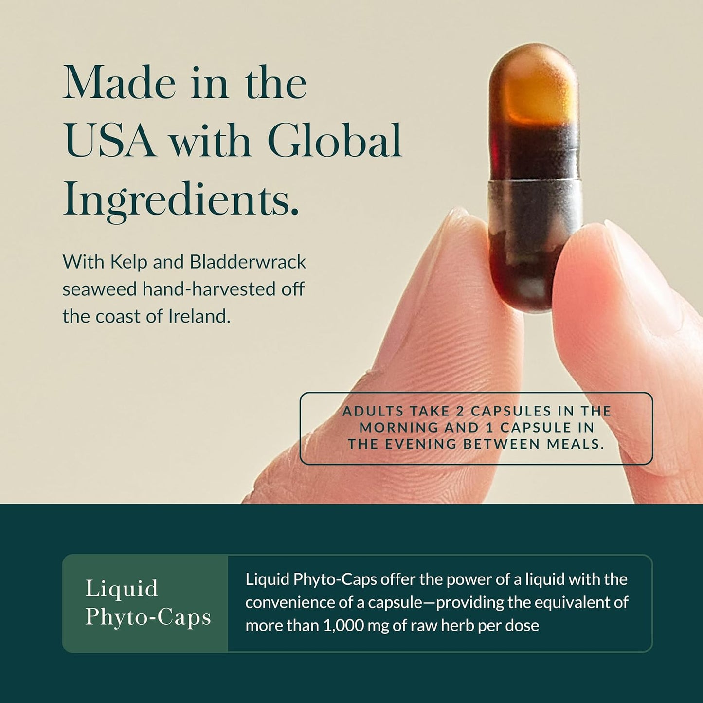 Gaia Herbs Thyroid Support - Made with Ashwagandha, Kelp, Brown Seaweed, and Schisandra to Support Healthy Metabolic Balance and Overall Well-Being - 120 Vegan Liquid Phyto-Capsules (40-Day Supply)