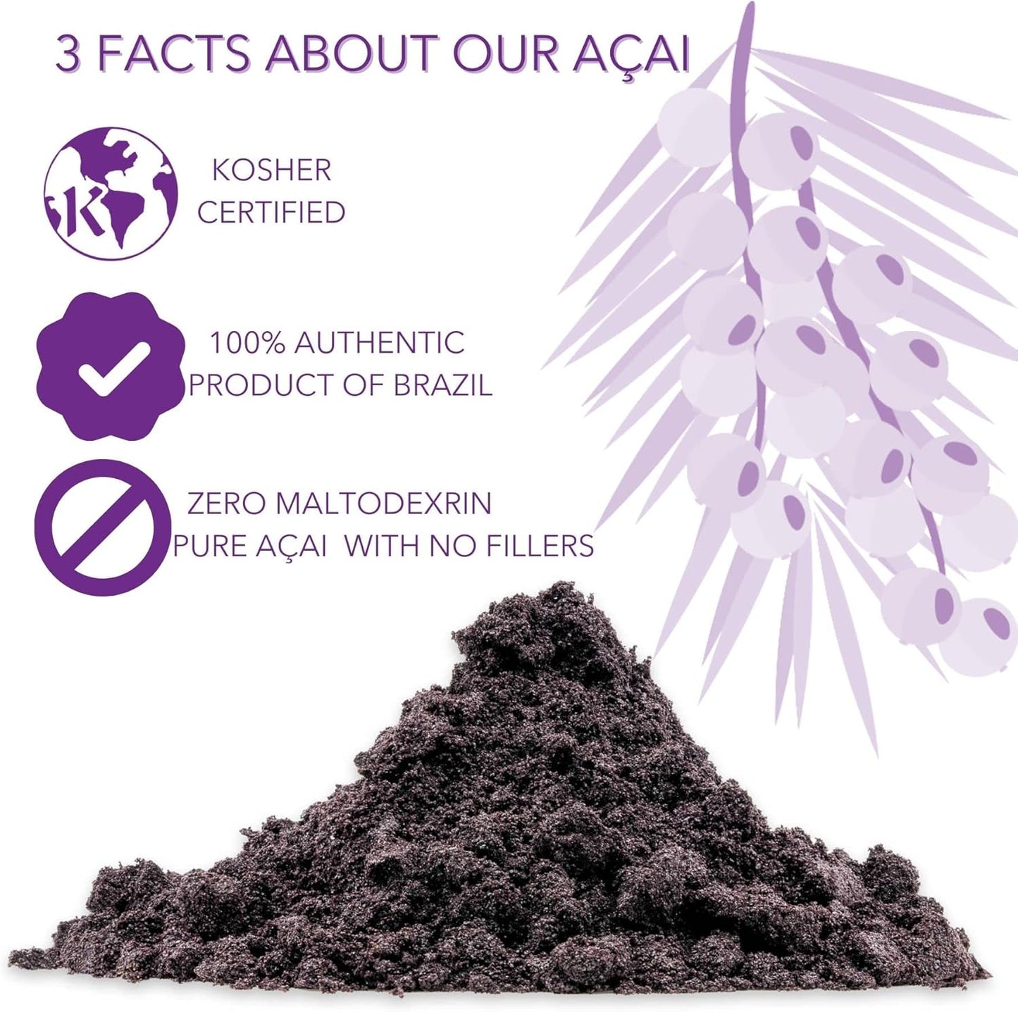 Slofoodgroup Freeze Dried Açaí Powder - Pure Acai Powder from Brazil (1 Lb Açaí), Acai Fruit Powder