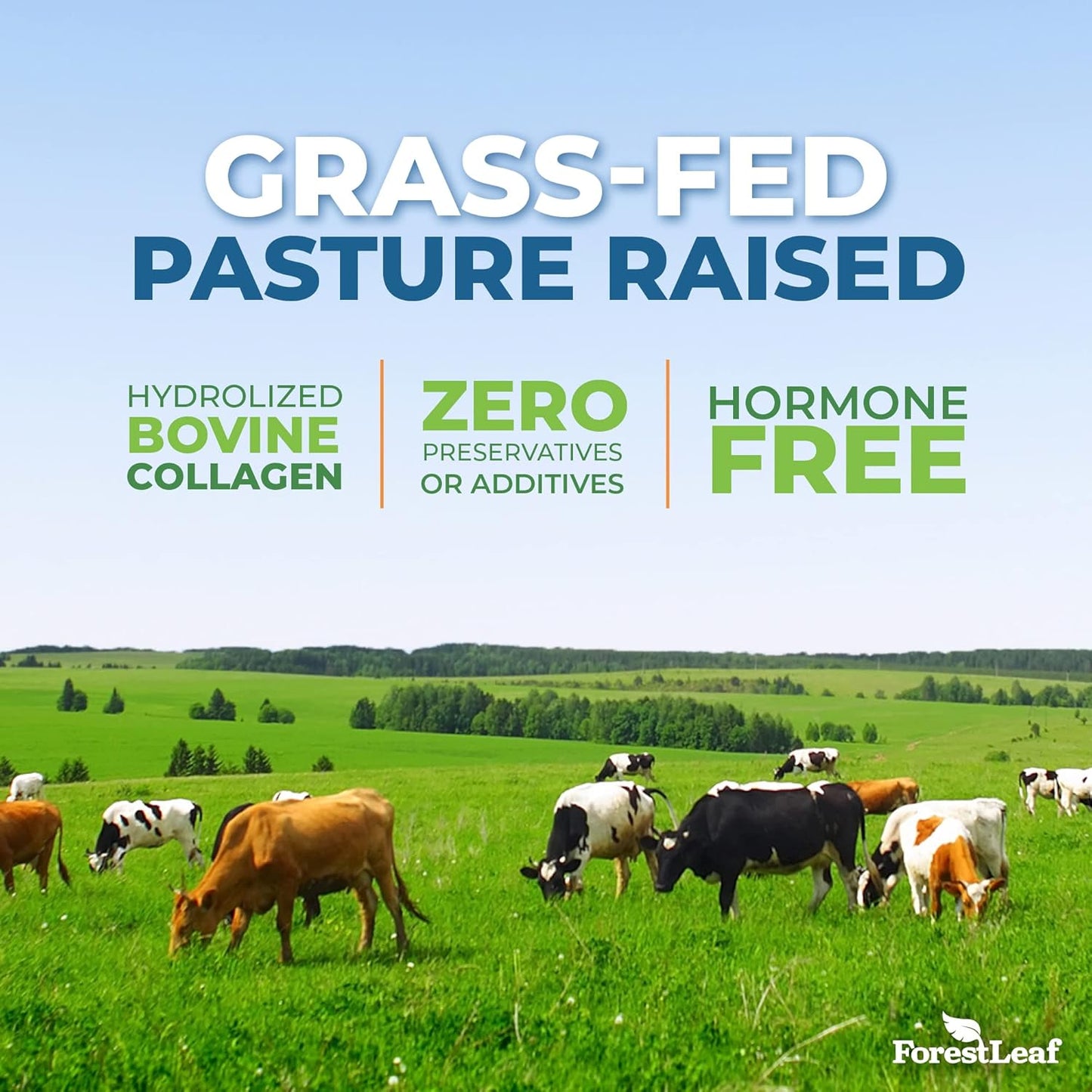 ForestLeaf Collagen Peptides Powder Unflavored - Hydrolyzed Grass Fed Keto Collagen Protein Powder Type 1, 2 & 3 - Vital Hair, Skin, Nails, Joints, Recovery, 11g Per Serving