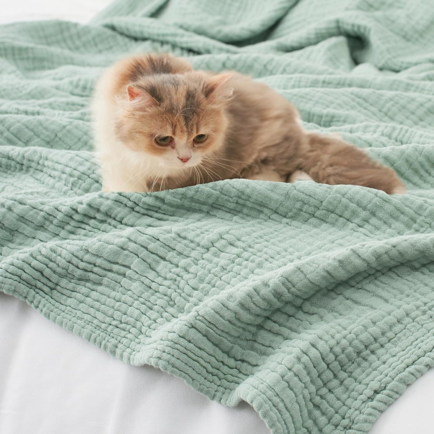 Carriediosa 100% Cotton Muslin Throw Blanket 70" X 80" Twin Size，4-Layers Summer Gauze Throws for Bed Couch，Soft Lightweight Breathable Linen Blankets Bedspread for Adults All Season，Sage Green