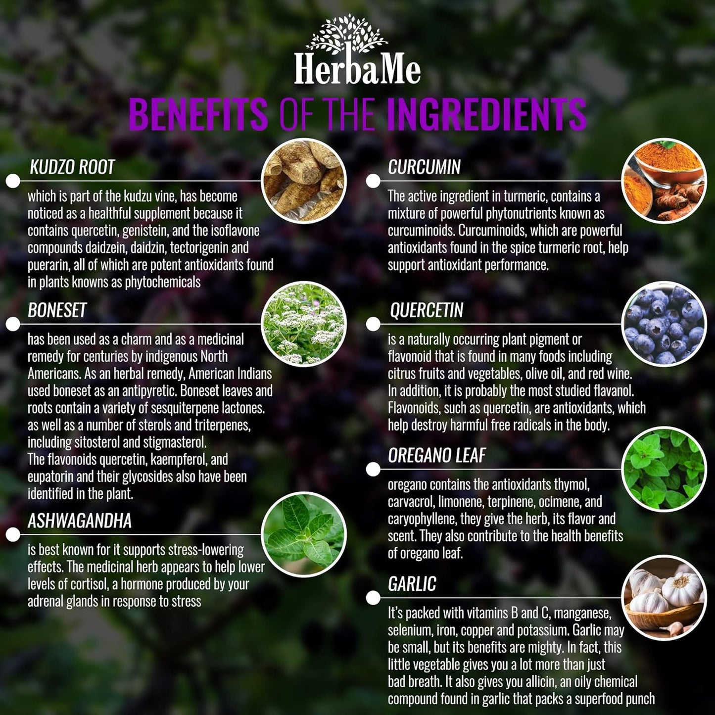 Advanced Immune System Booster 15 in 1 with Elderberry, Quercetin, Zinc, Vitamin D, 90 Capsules, Support Natural Wellness, Immunity Boost Supplement with Selenium and Vitamin C Antioxidants