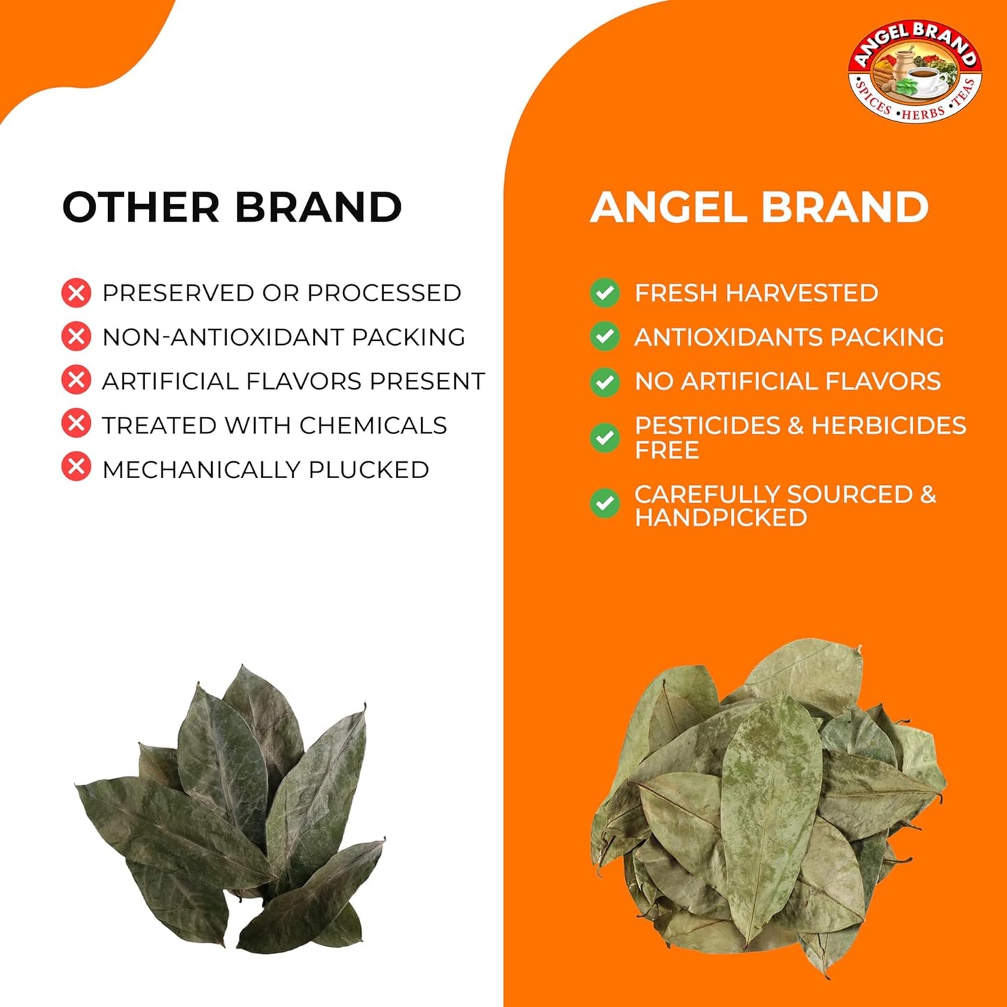 Angel Brand Soursop Leaves – Dried Guanabana Leaves for Herbal Tea, Ideal for Brewing Refreshing and Beneficial Drinks, Natural Soursop Tea Leaves for Everyday Enjoyment – 2oz