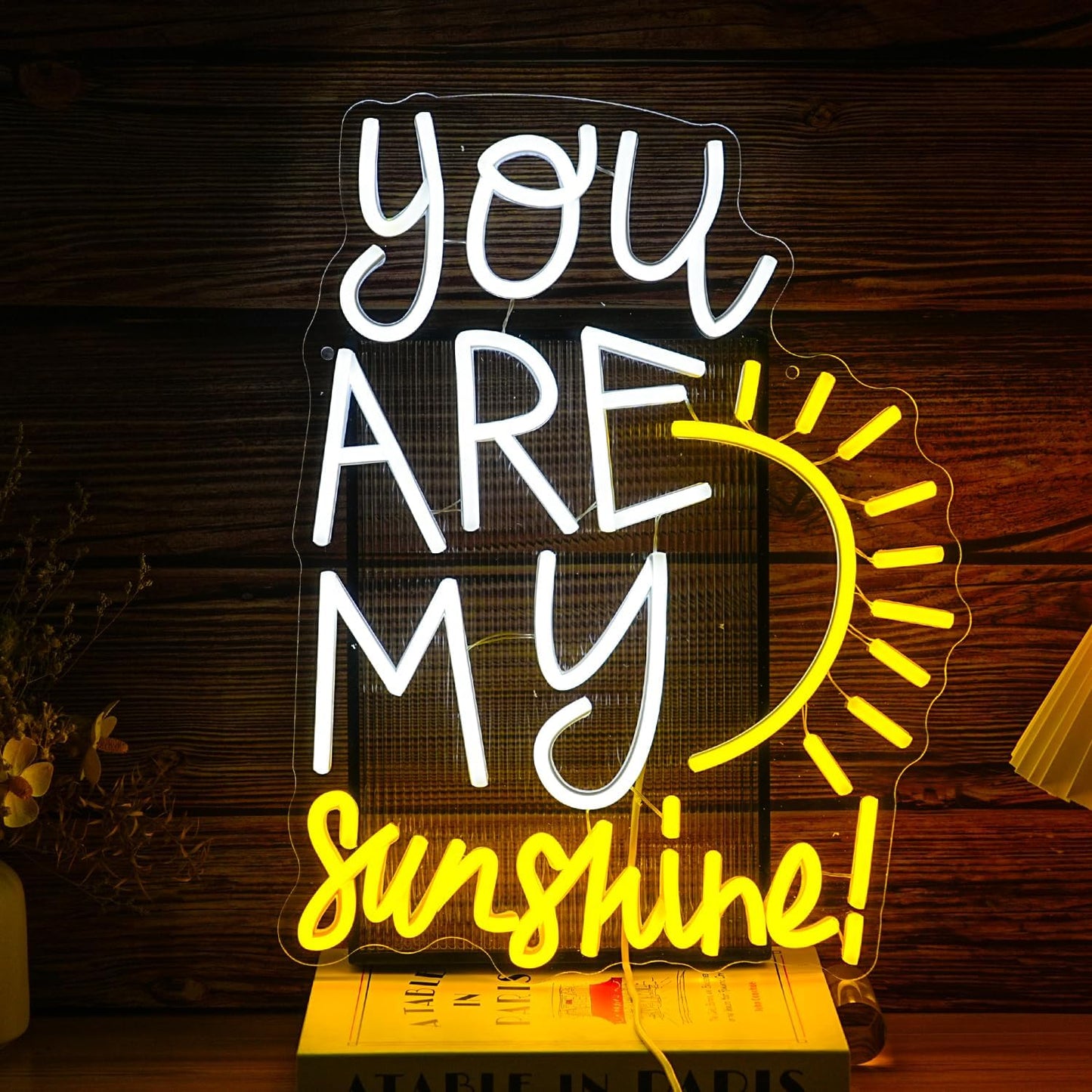 You Are My Sunshine Neon Sign Dimmable Pretty Sunshine Neon Light for Wall Decor USB Powered Sunrise Led Light Up Sign for Wedding Bedroom Lovers Party Celebrate Decor