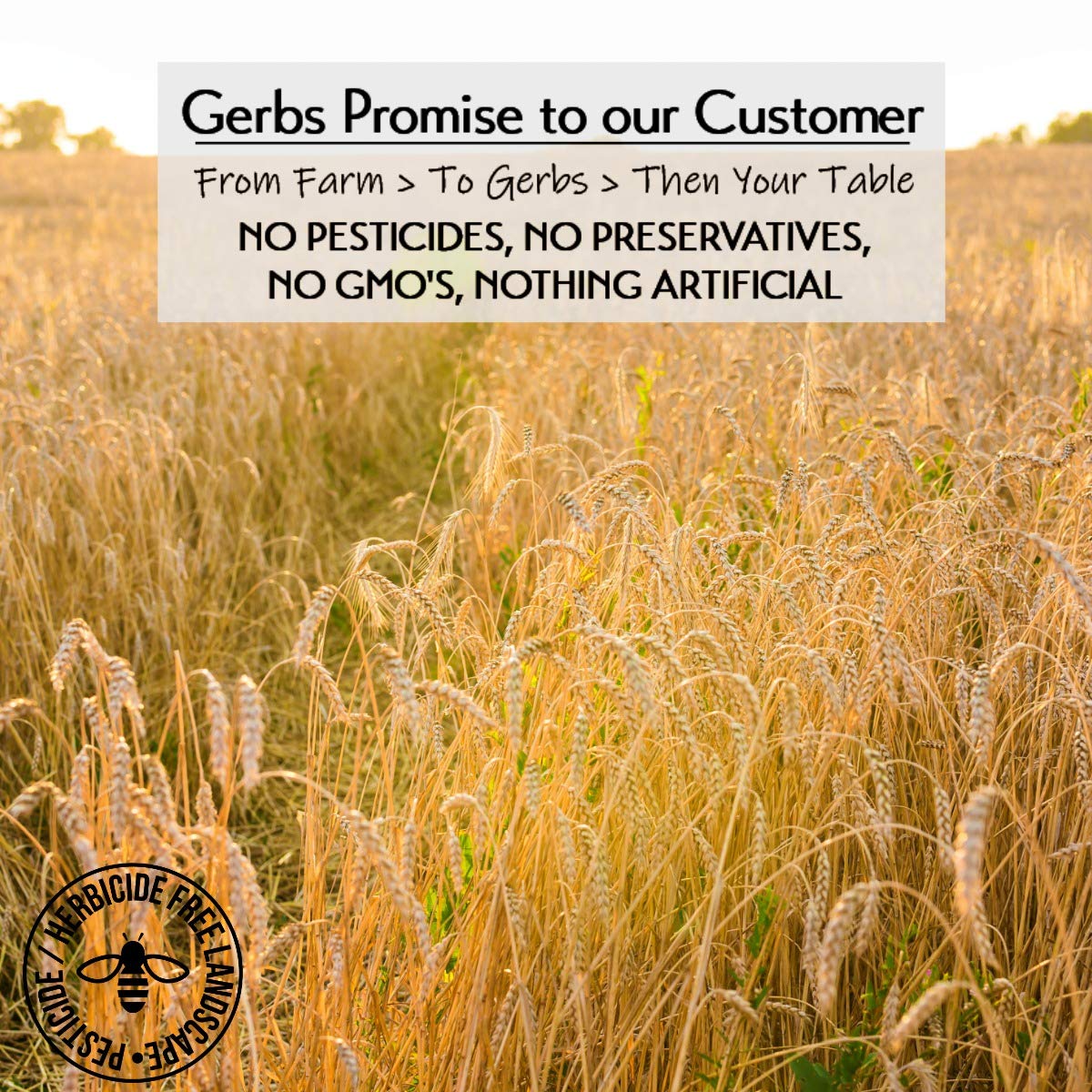 Gerbs Gluten-Free Traditional Rolled Oats 4 lbs. | Carefully Sourced, Premium Grade, Resealable Bag | Hearty Texture, Ideal for Baking & Breakfast | Top 14 Allergen-Free