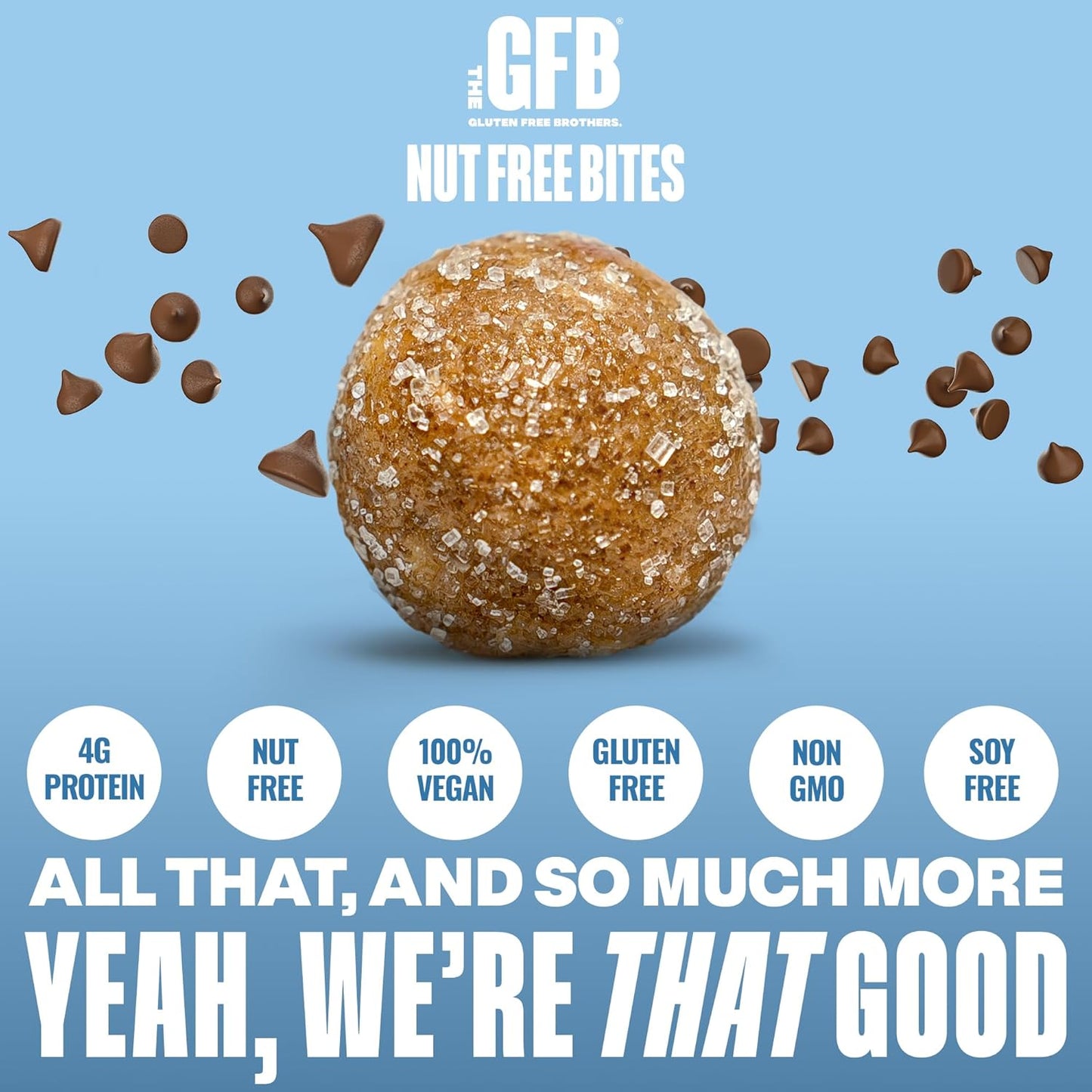 The Gluten Free Brothers Chocolate Chip Cookie Dough Nut Free Bites - Allergen Friendly, Gluten Free, Soy Free Protein Balls – Plant Based Vegan Non-GMO Snack Size Protein Energy Balls, 4 oz (6 Count)