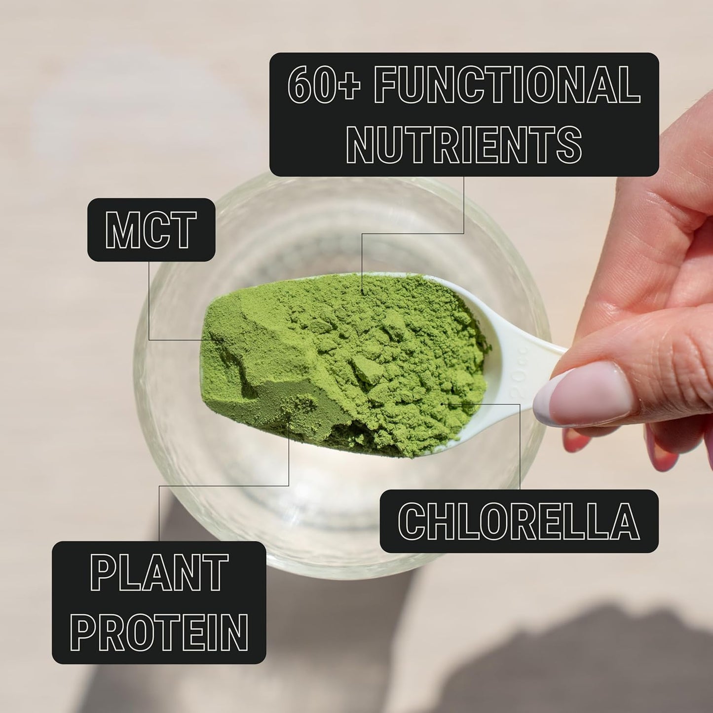 ON3 Athletic Protein Greens Supplement with chlorella, eleuthero and MCT Powder (30 Servings, Herbal)