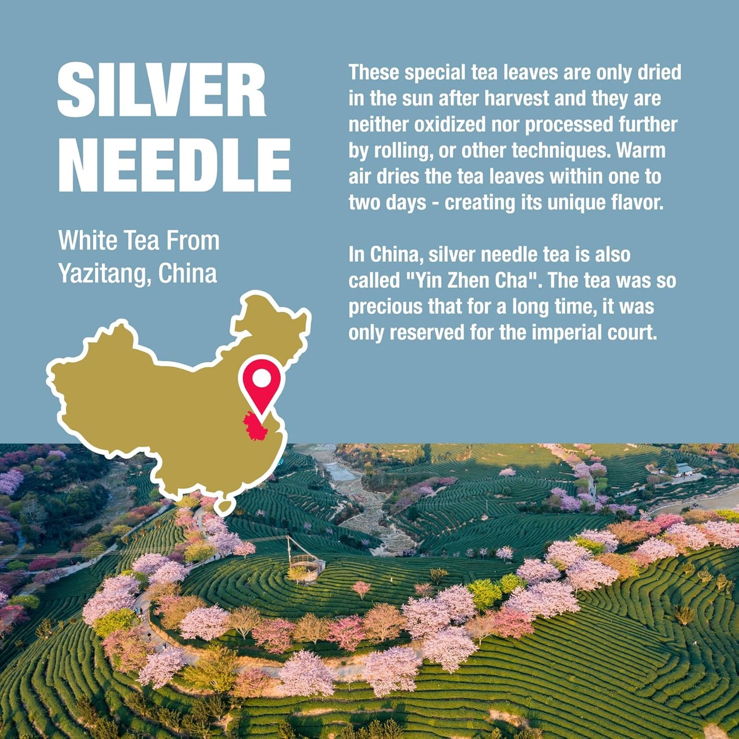 Tiesta Tea Silver Needle White Tea – Premium Loose Leaf, Single-Origin from China | Pure Unblended Low-Caffeine Tea | Hot or Cold Brew | 2.5oz Refillable Tin | Brews 50 Cups