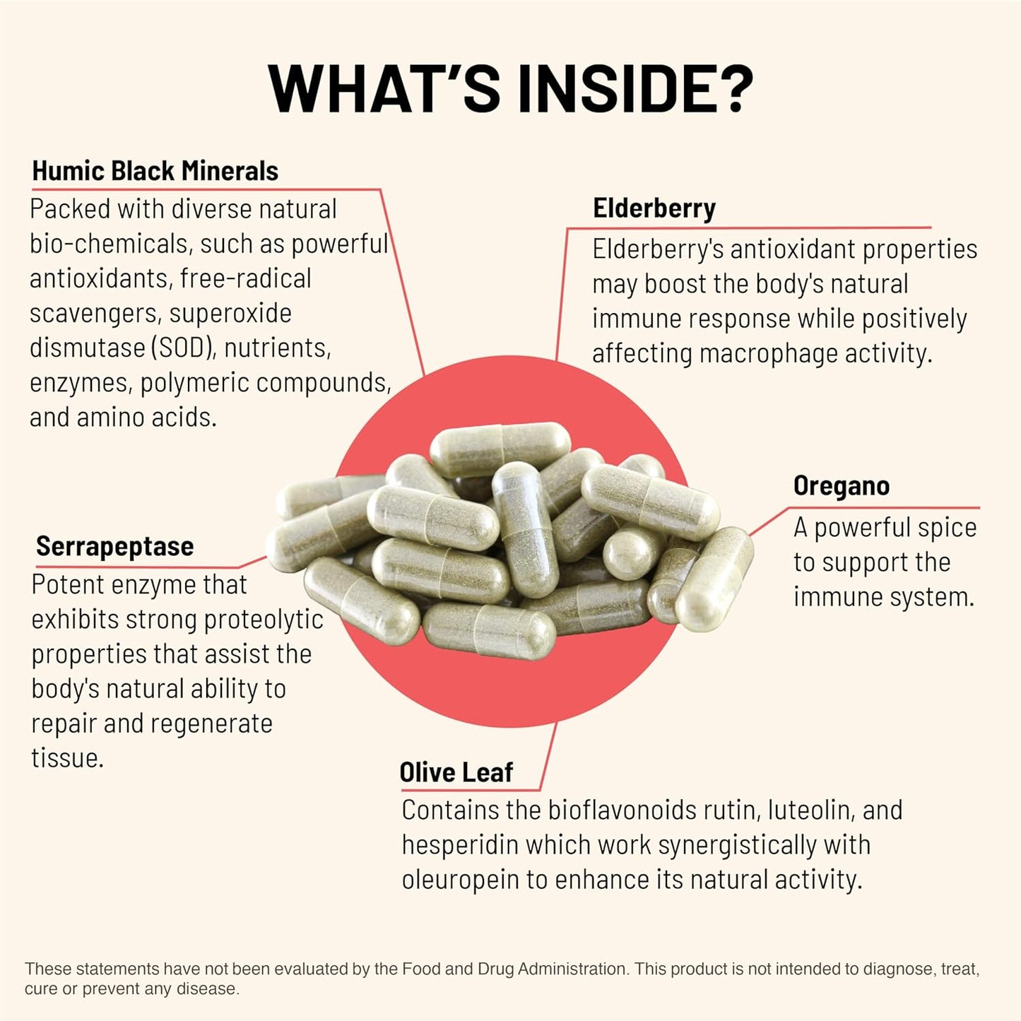 Mountain Peak Nutritionals Immuni-V - Immune System & Whole Body Support Supplement - Natural Antioxidant Booster with Humic Acid, Olive Extract, & Elderberry (60 Vegetarian Capsules)