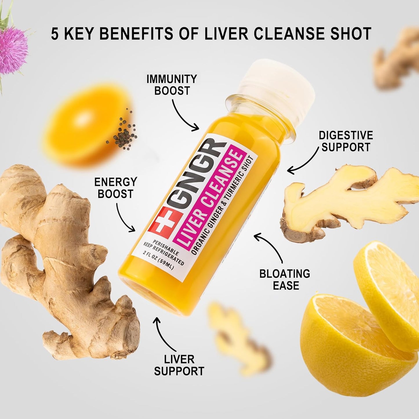 +GNGR Liver Cleanse Shot, Cold-Pressed Ginger Shot with Milk Thistle, Dandelion Root, Turmeric Root, Immunity Shot for all natural Liver Support, Detox, Immunity, Digestion, Cleanse (2 Oz, Pack of 12)