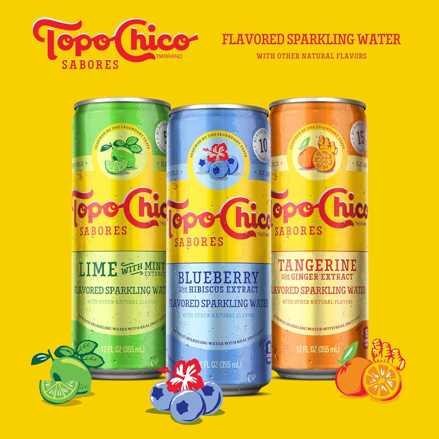 Topo Chico Sabores Lime with Mint Extract 12oz 8pk