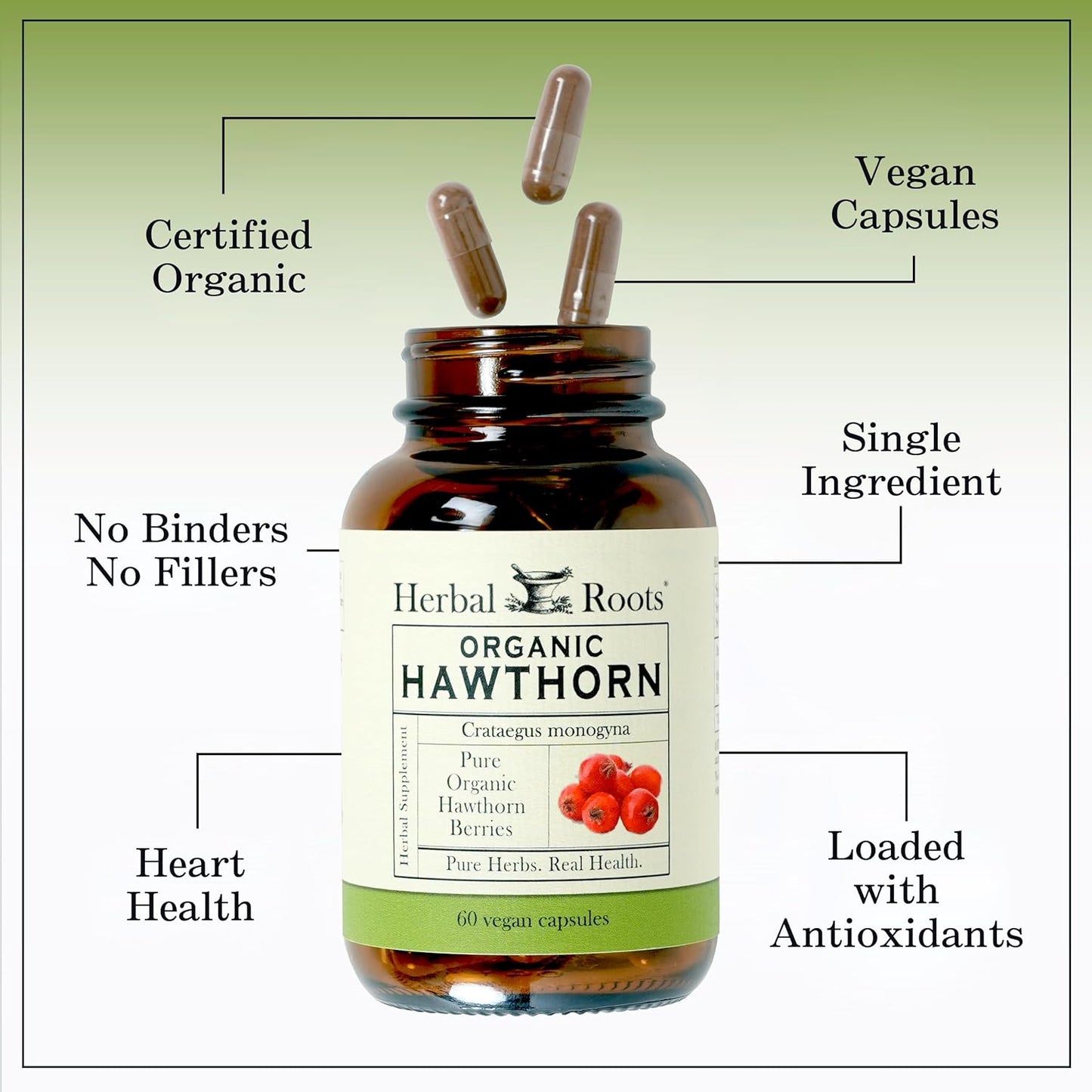 Herbal Roots Organic Hawthorn Berry Capsules | Extra Strength 1,200mg per Serving | 60 Vegan Capsules
