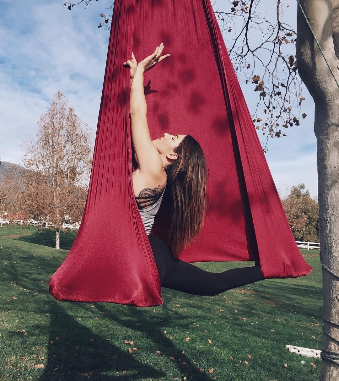F.Life Aerial Silk Yoga Hammock & Swing for yoga Inversion,Strength training,starter hardware kit